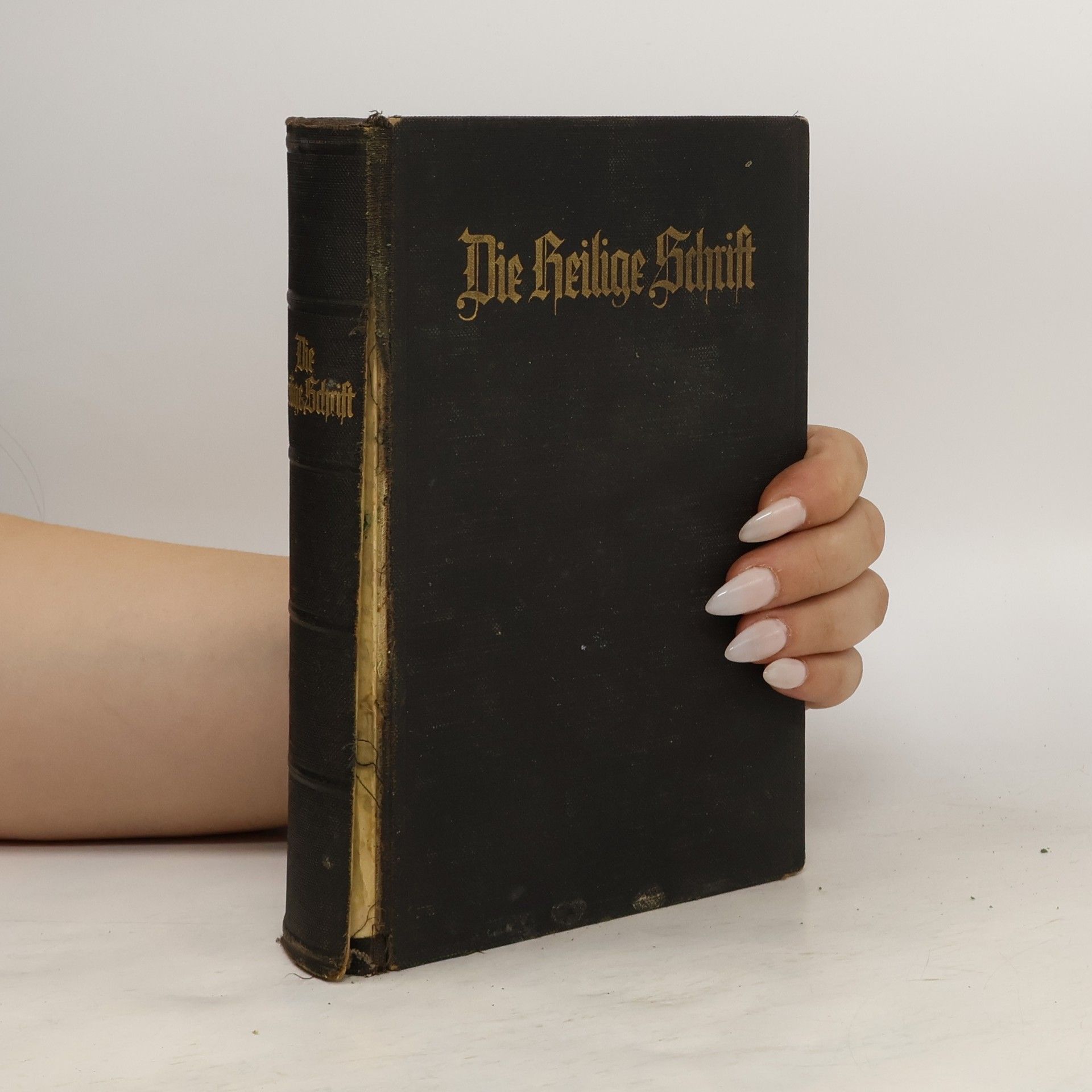 Autorenkollektiv Die Heilige Schrift