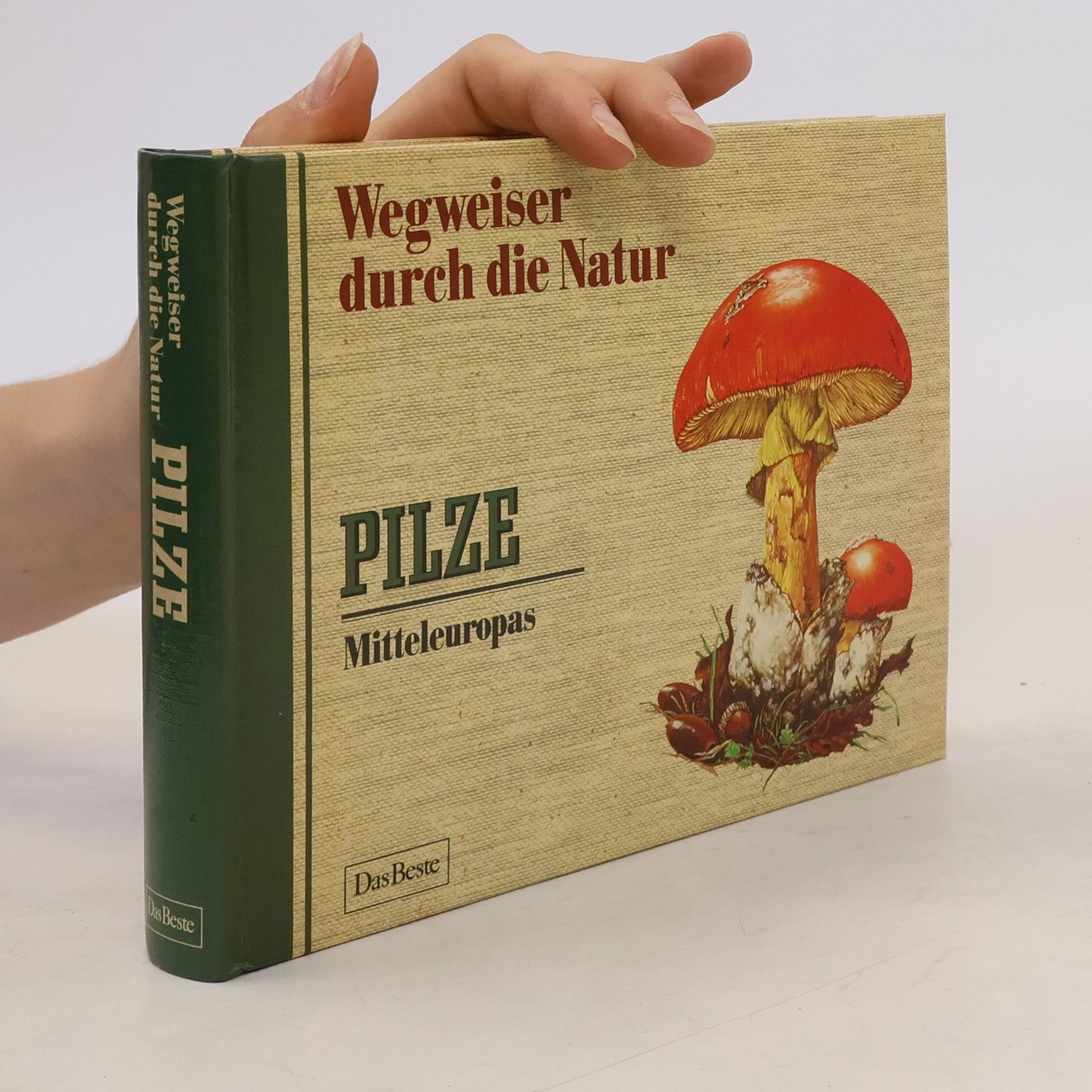 Collective Wegweiser durch die Natur. Pilze