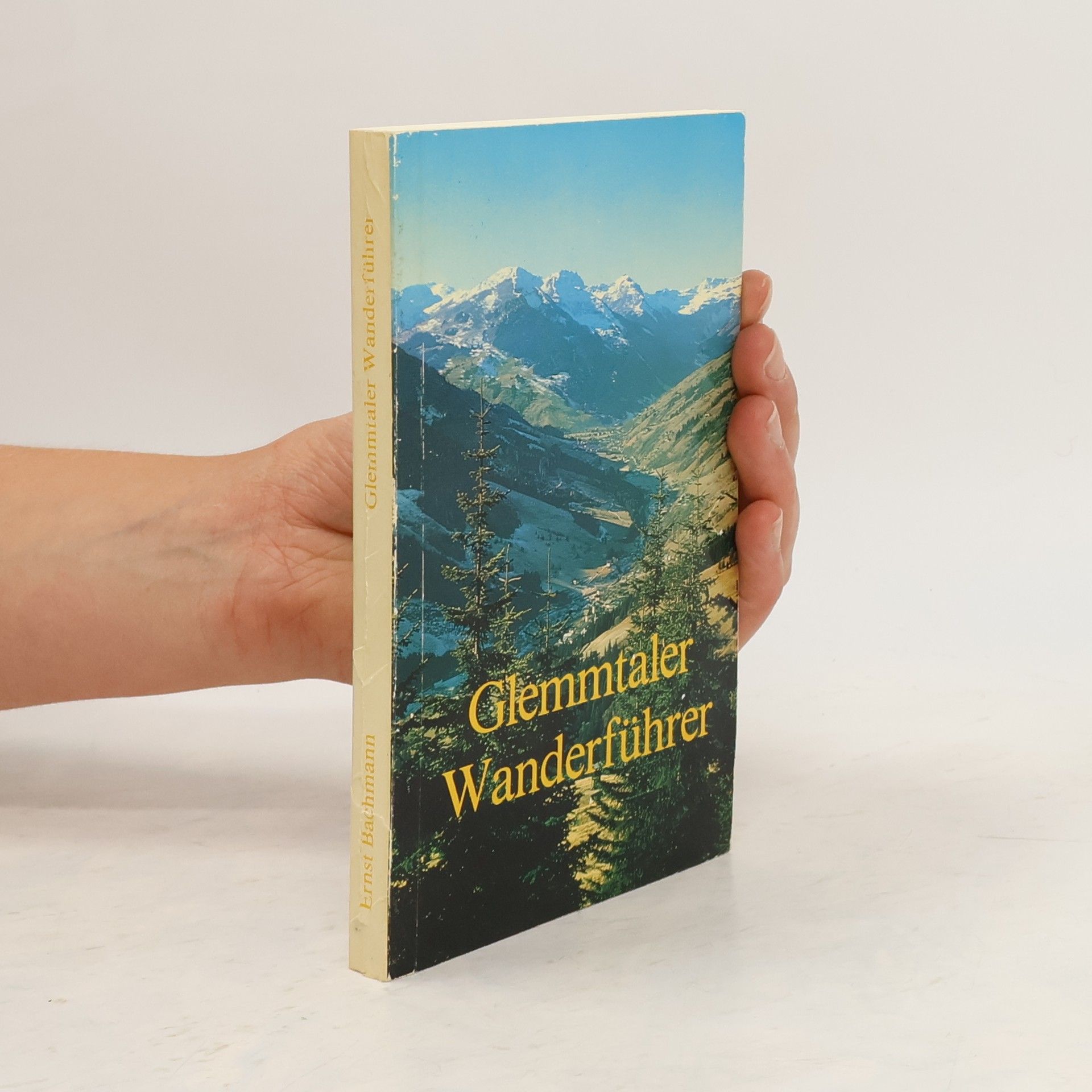 Glemmtaler Wanderführer