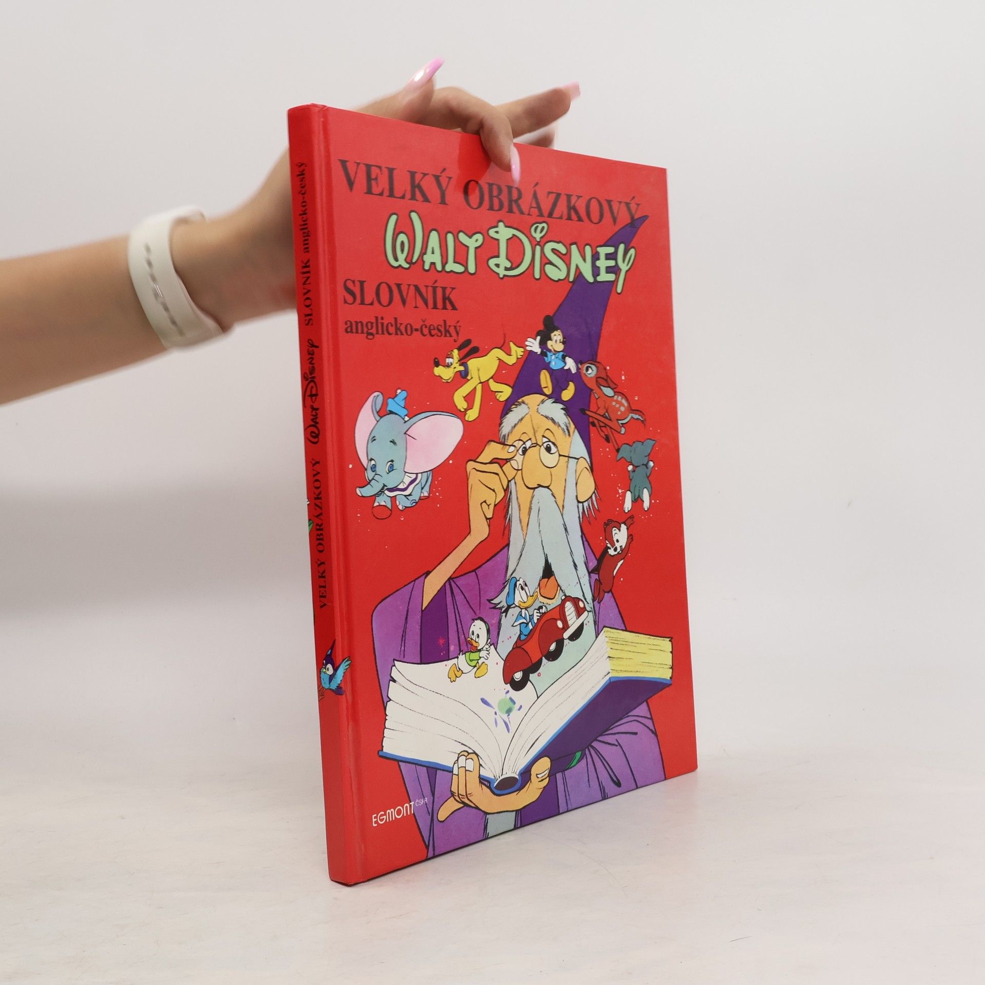 Walt Disney Velký obrázkový slovník anglicko-český