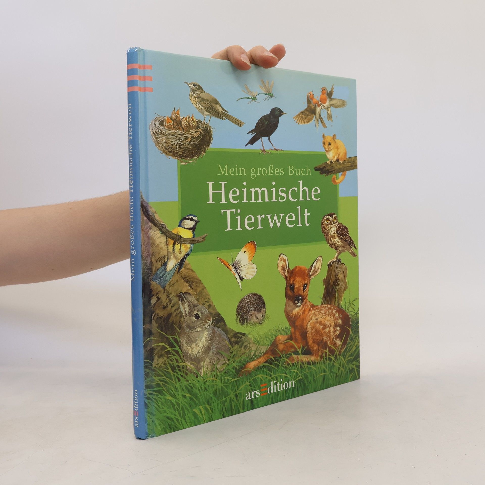 Bernard Stonehouse Mein großes Buch. Heimische Tierwelt