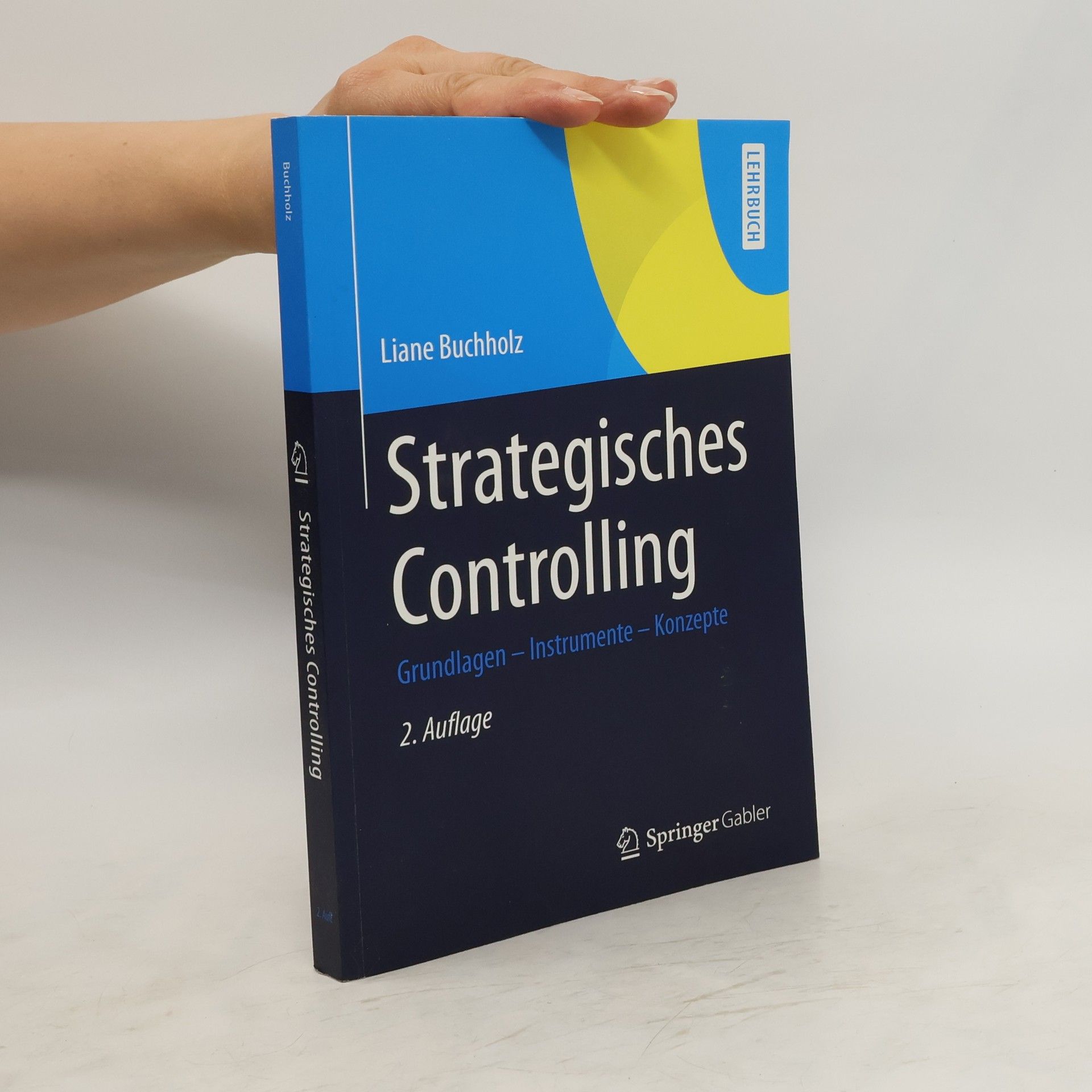 Liane Buchholz Strategisches Controlling