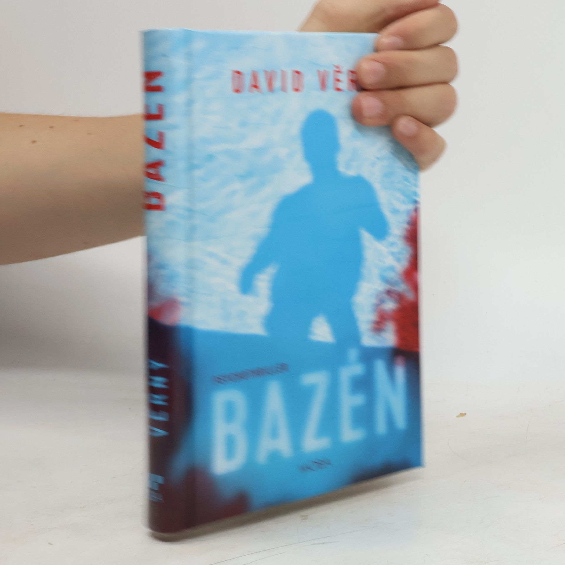 David Věrný Bazén