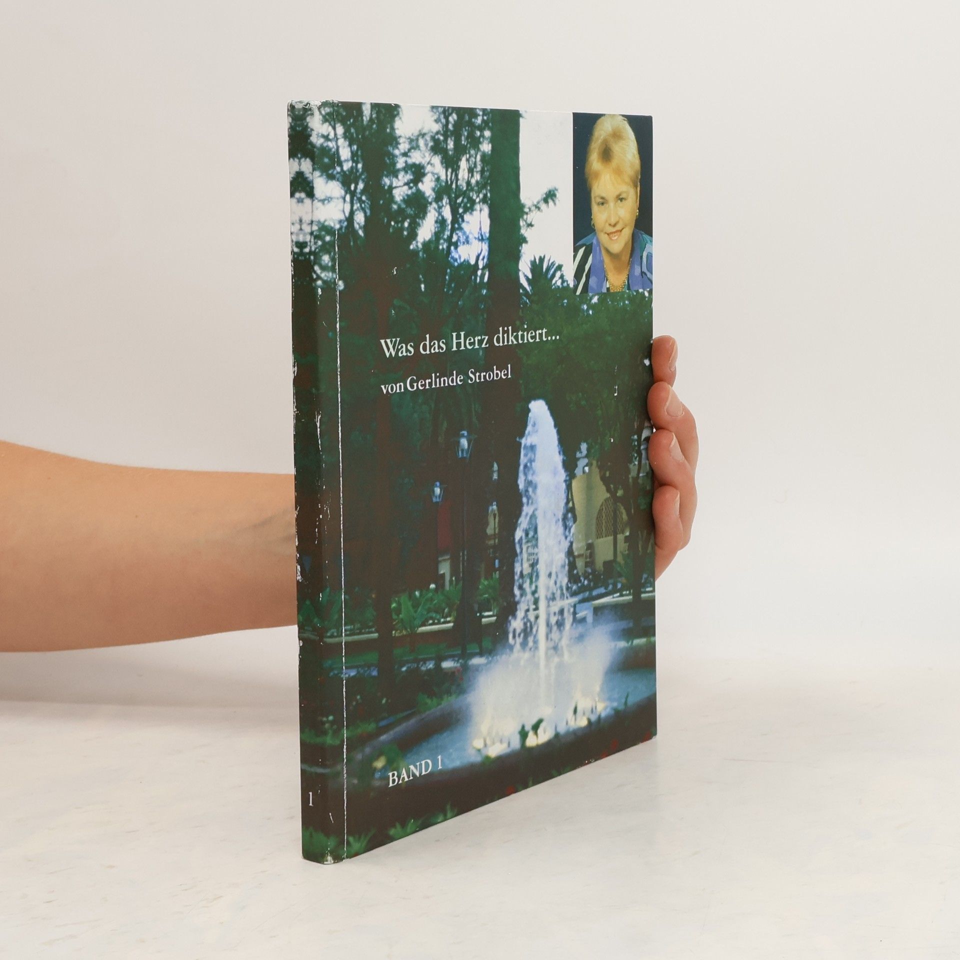 Gerlinde Strobel Was das Herz diktiert... Band 1