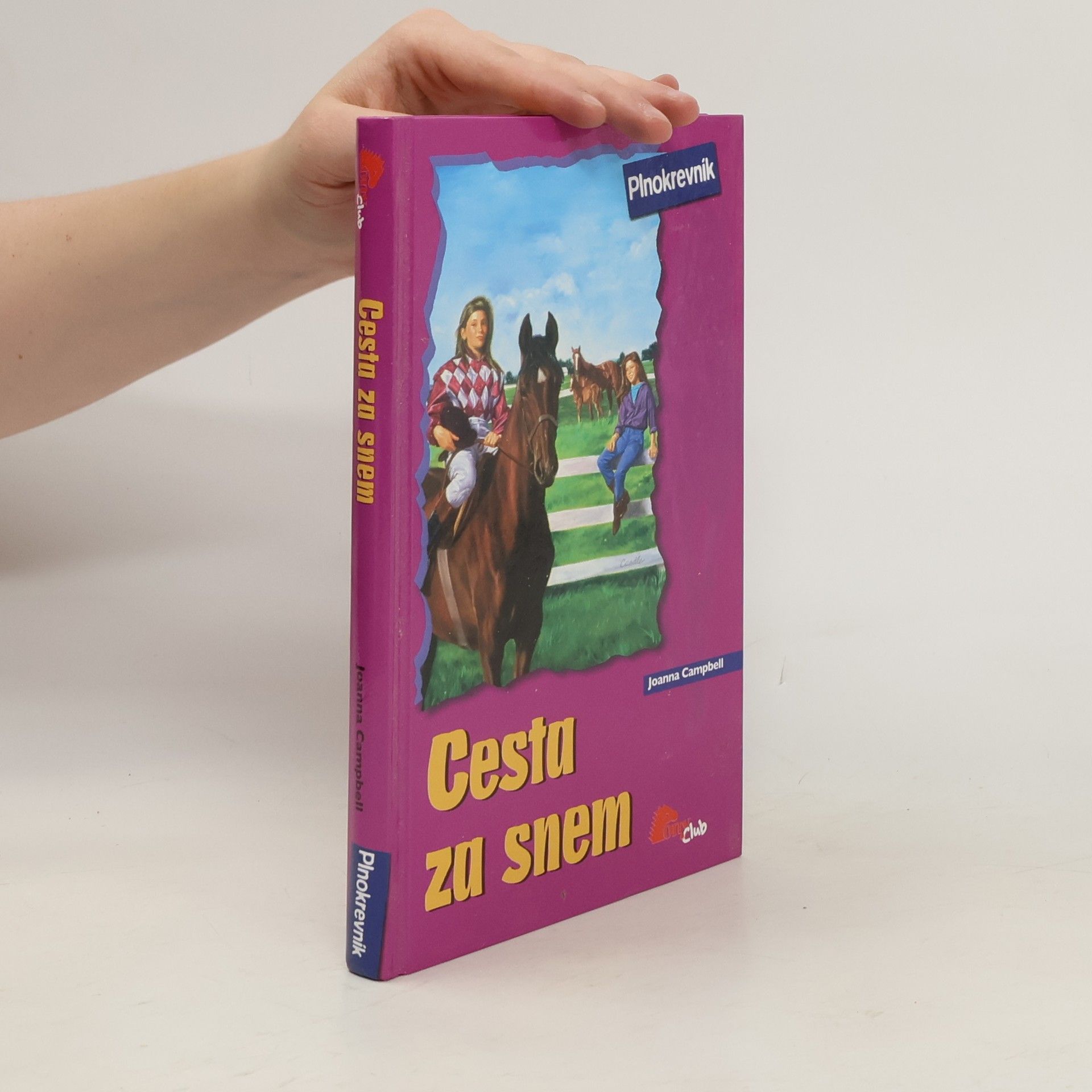 Joanna Campbell Cesta za snem