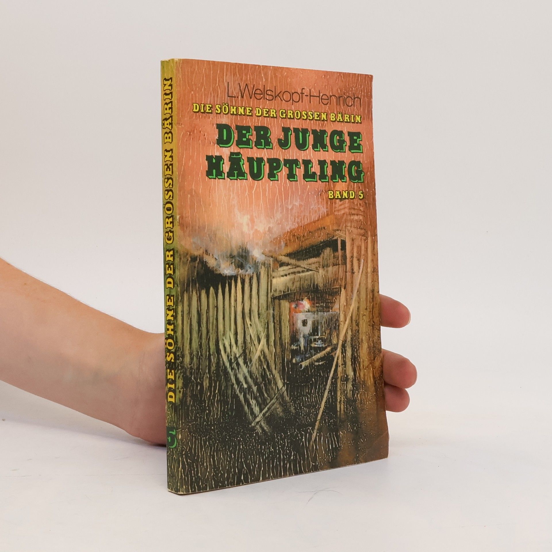 L. Welskopf-Henrich Der Junge Häuptling. Band 5