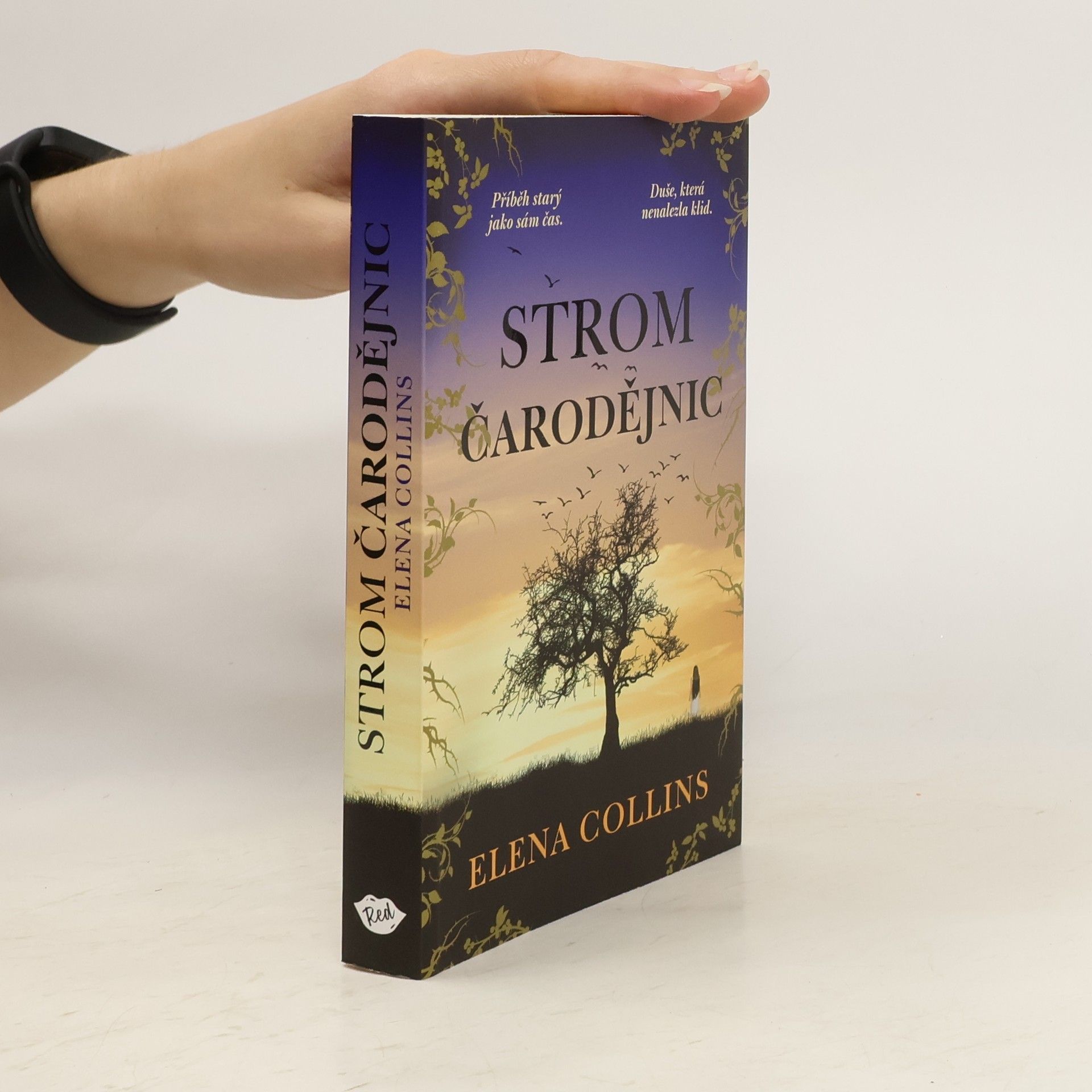 Jana Buchalová Strom čarodějnic