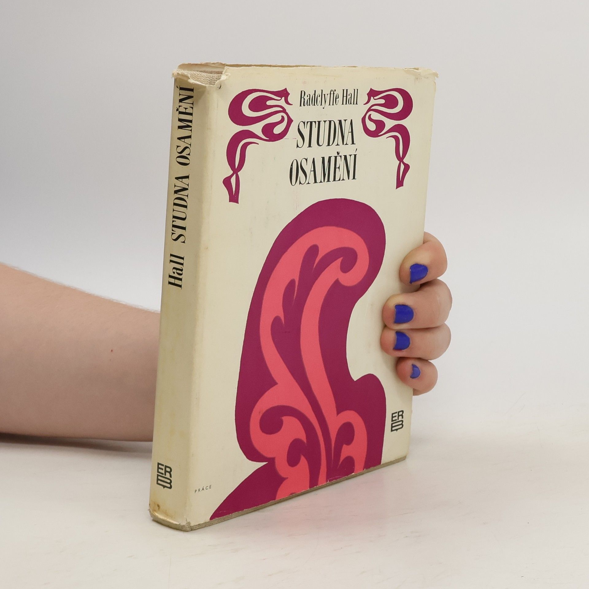 Radclyffe Hall Studna osamění