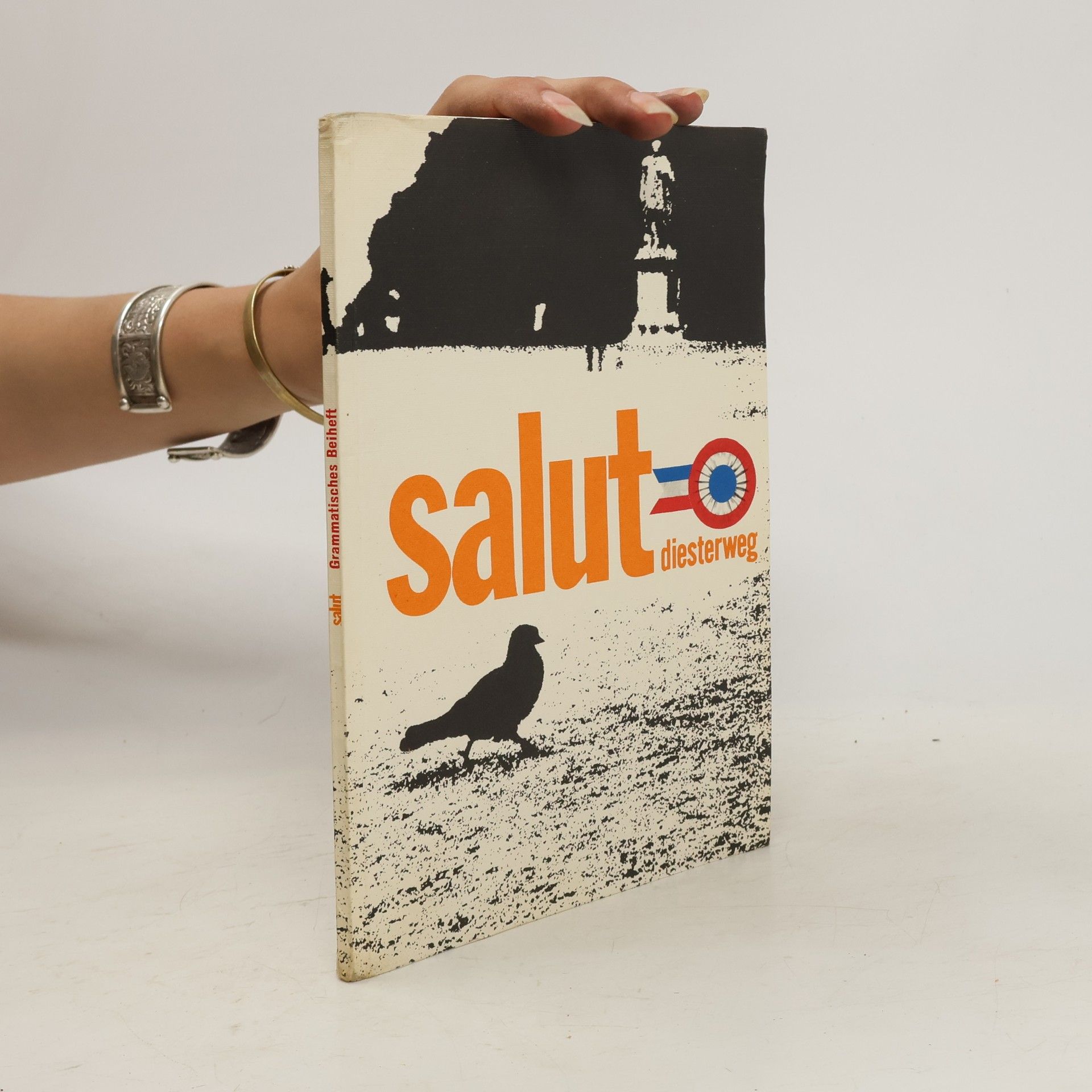 kolektiv Salut diesterweg