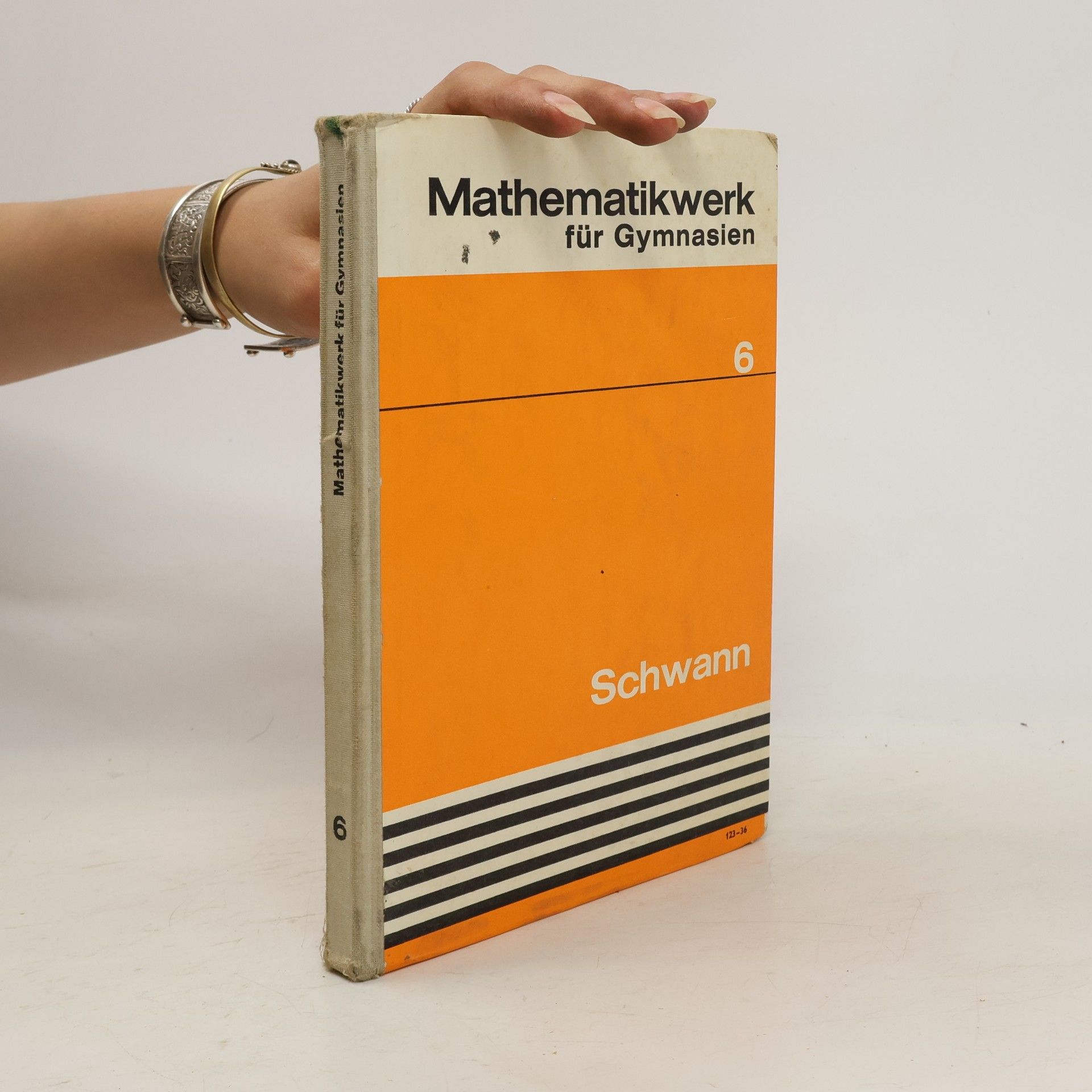 Autorenkollektiv Mathematikwerk für Gymnasien 6