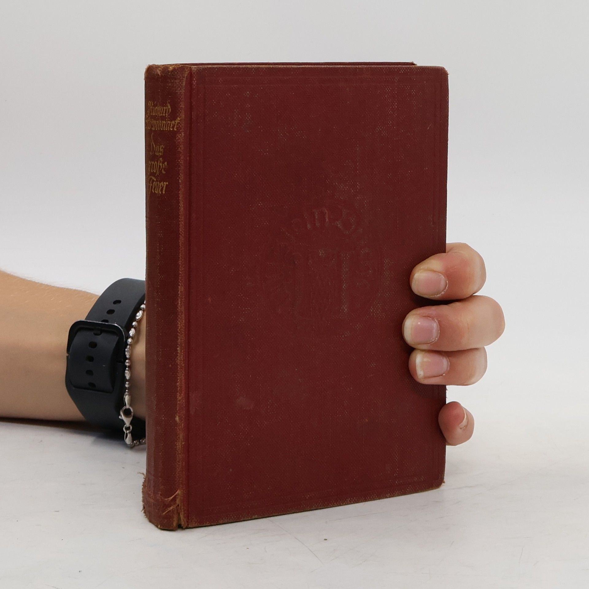 Richard Skrowronnek Das große Feuer