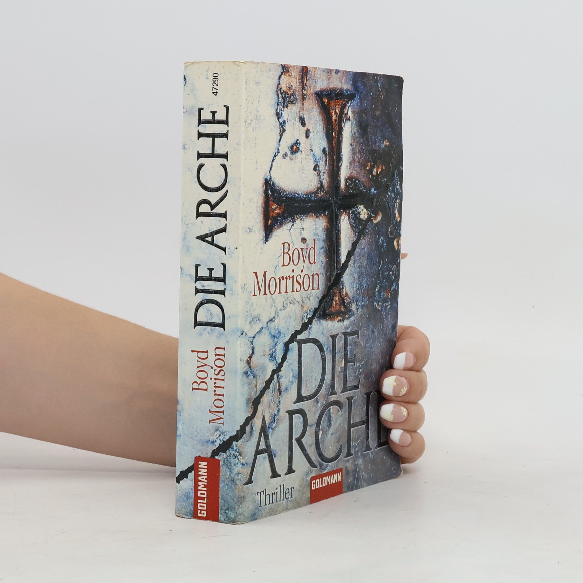 Boyd Morrison Die Arche
