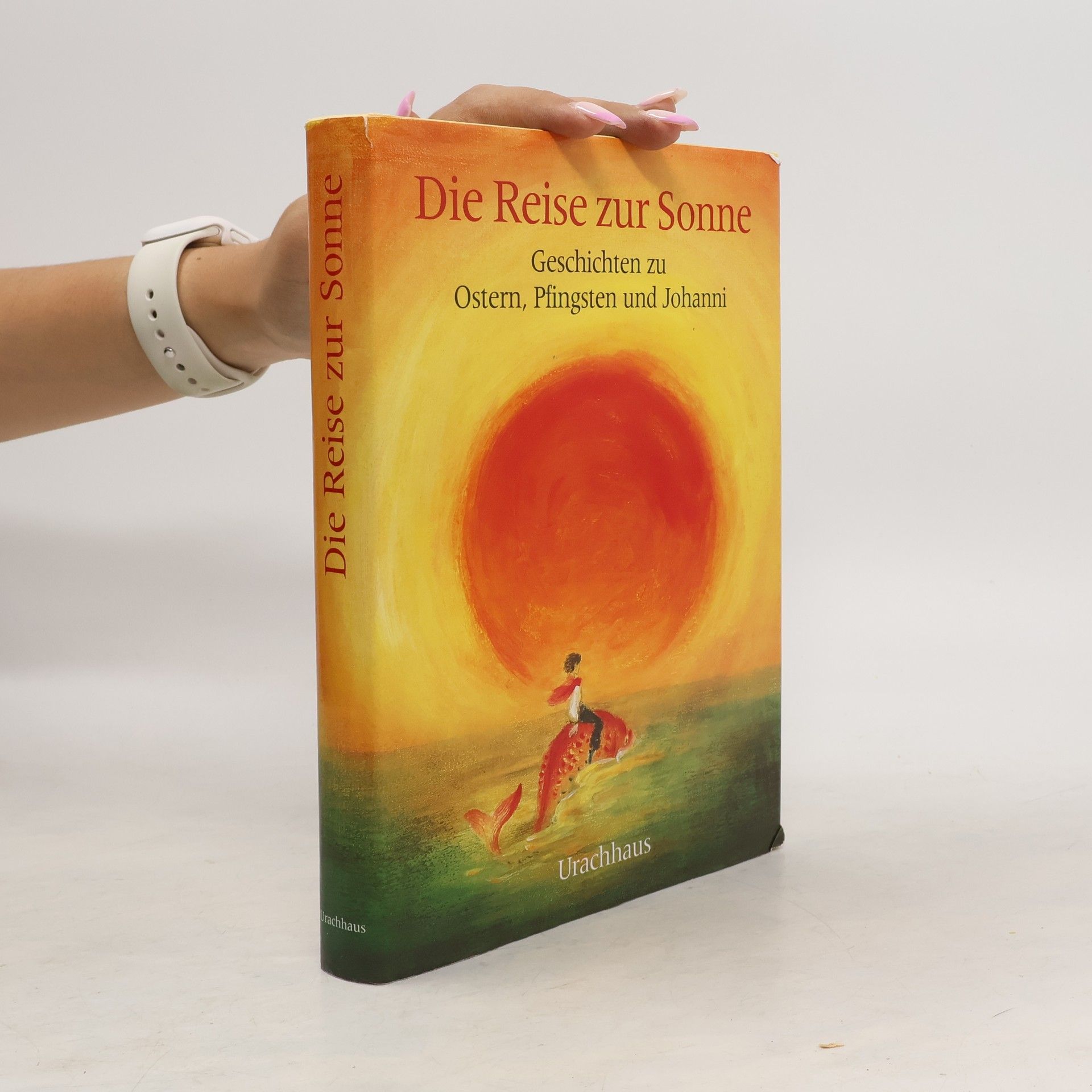 Autorenkollektiv Die Reise zur Sonne