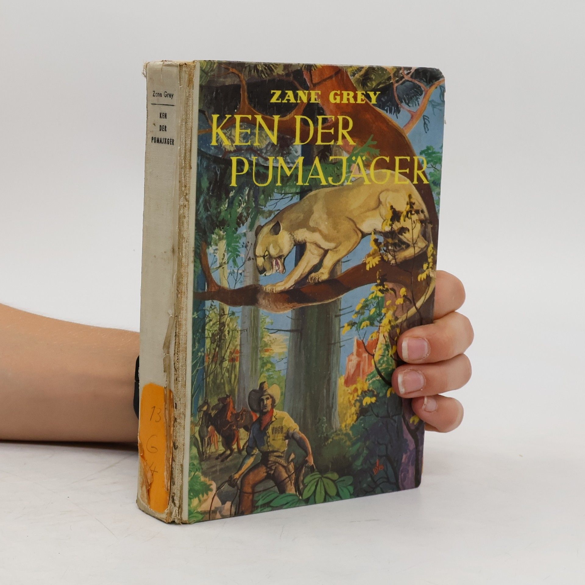 Zane Grey Ken der Pumajäger