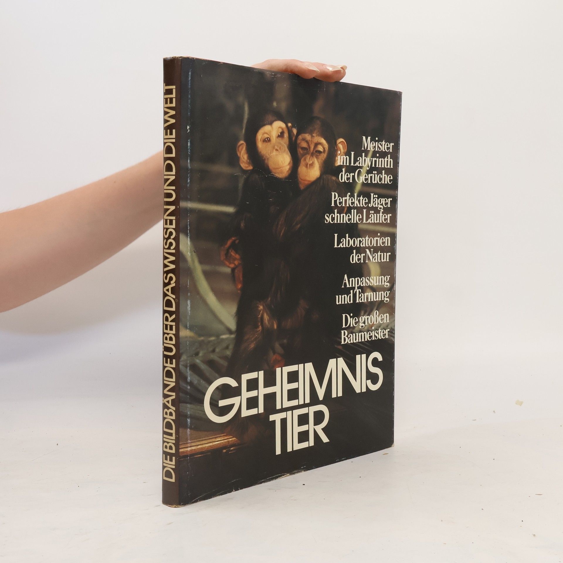 Autorenkollektiv Geheimnis Tier