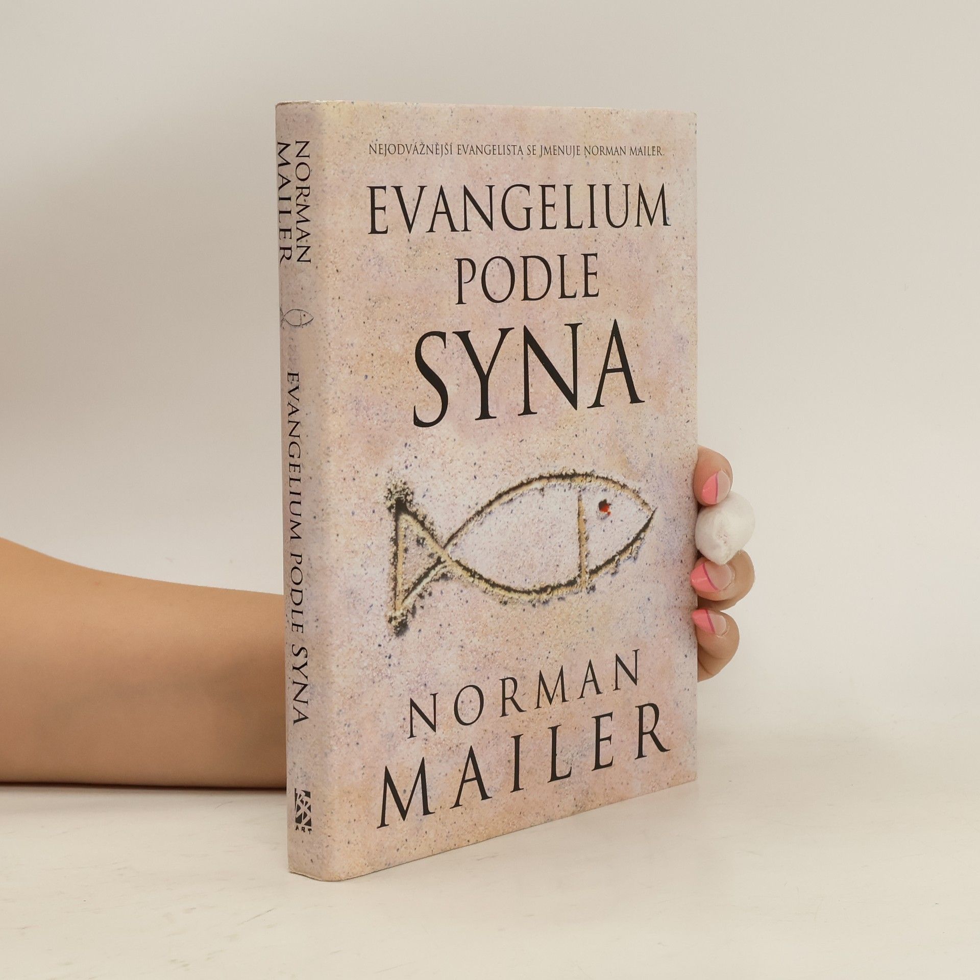 Norman Mailer Evangelium podle syna