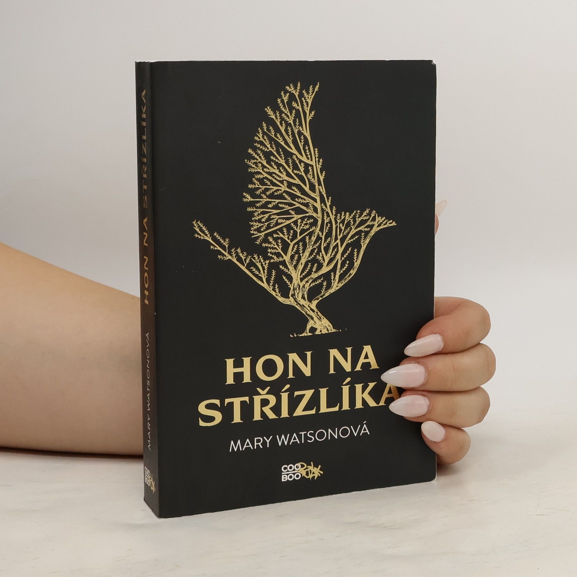 Mary Watson Hon na střízlíka