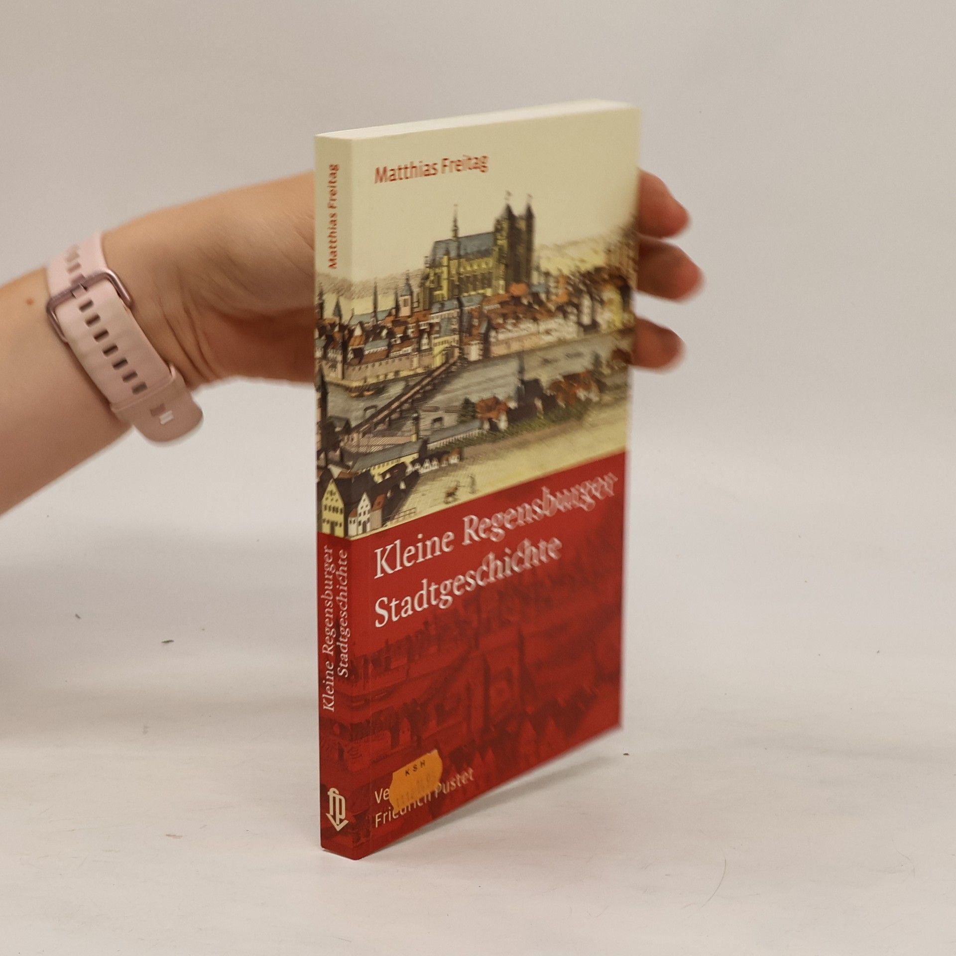 Matthias Freitag Kleine Regensburger Stadtgeschichte
