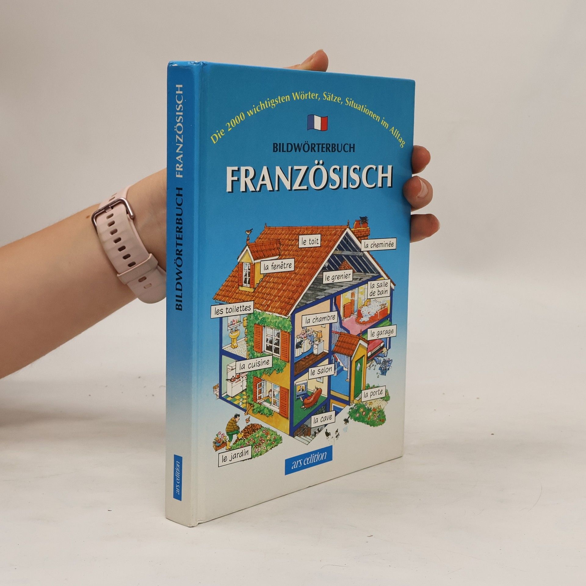 Helen Davies Bildwörterbuch Französisch