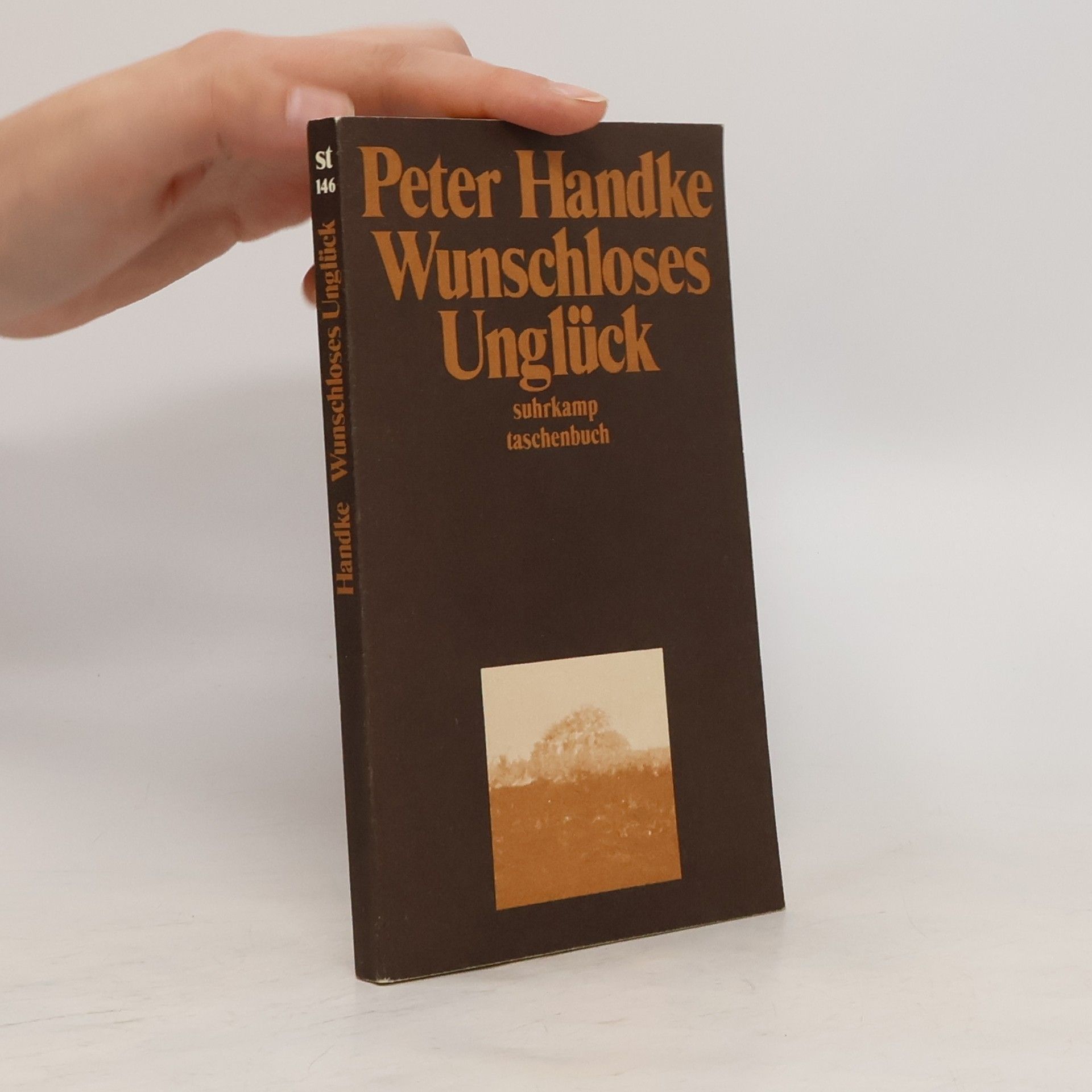 Peter Handke Wunschloses Unglück: Erzählung