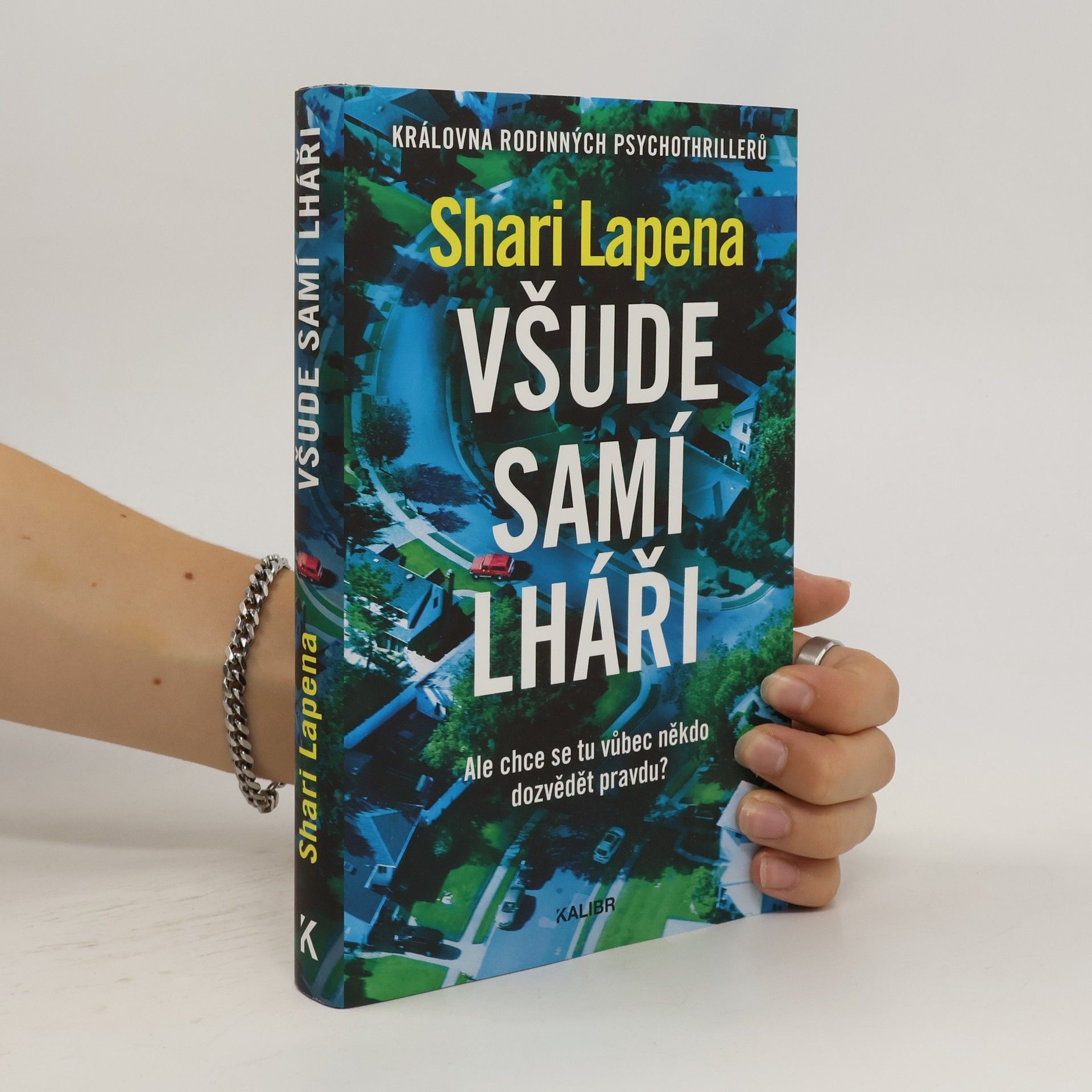 Shari Lapena Všude samí lháři