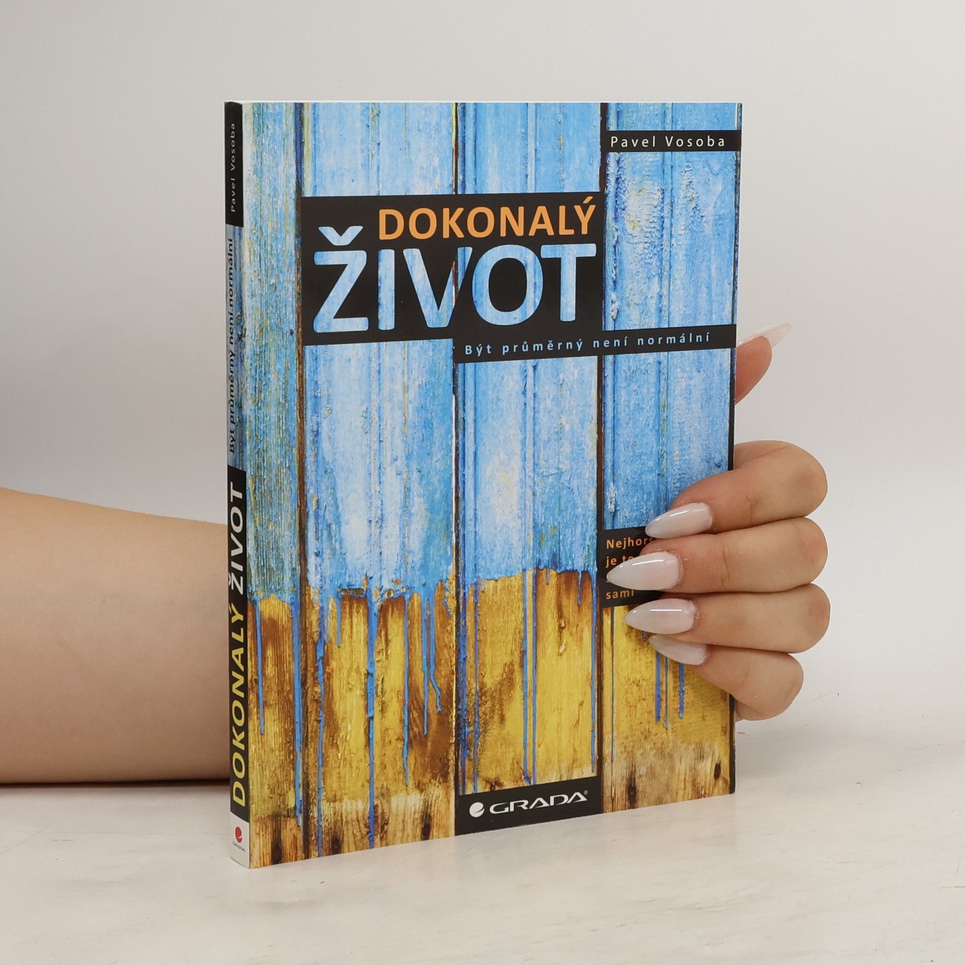 Pavel Vosoba Dokonalý život : být průměrný není normální