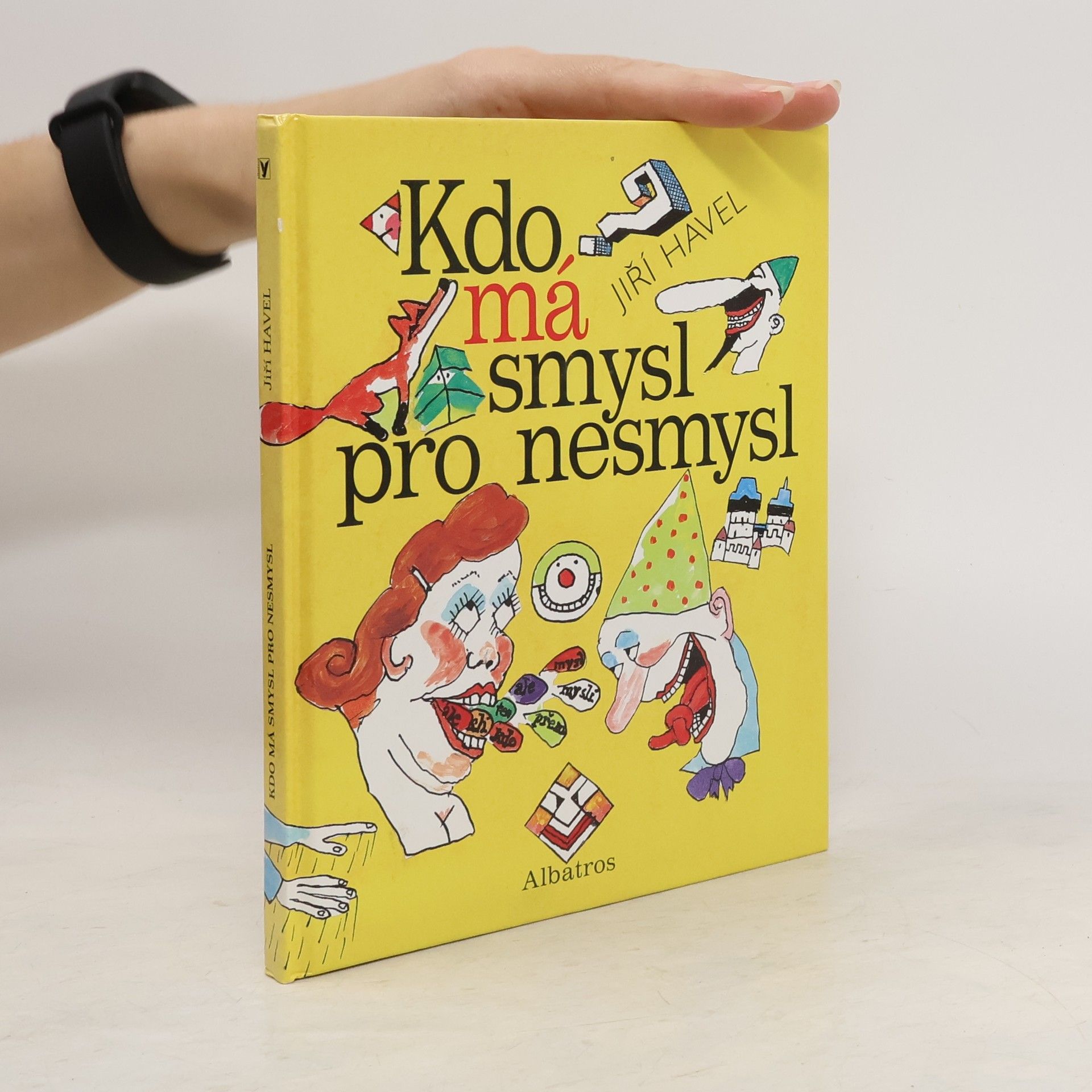 Jiří Havel Kdo má smysl pro nesmysl