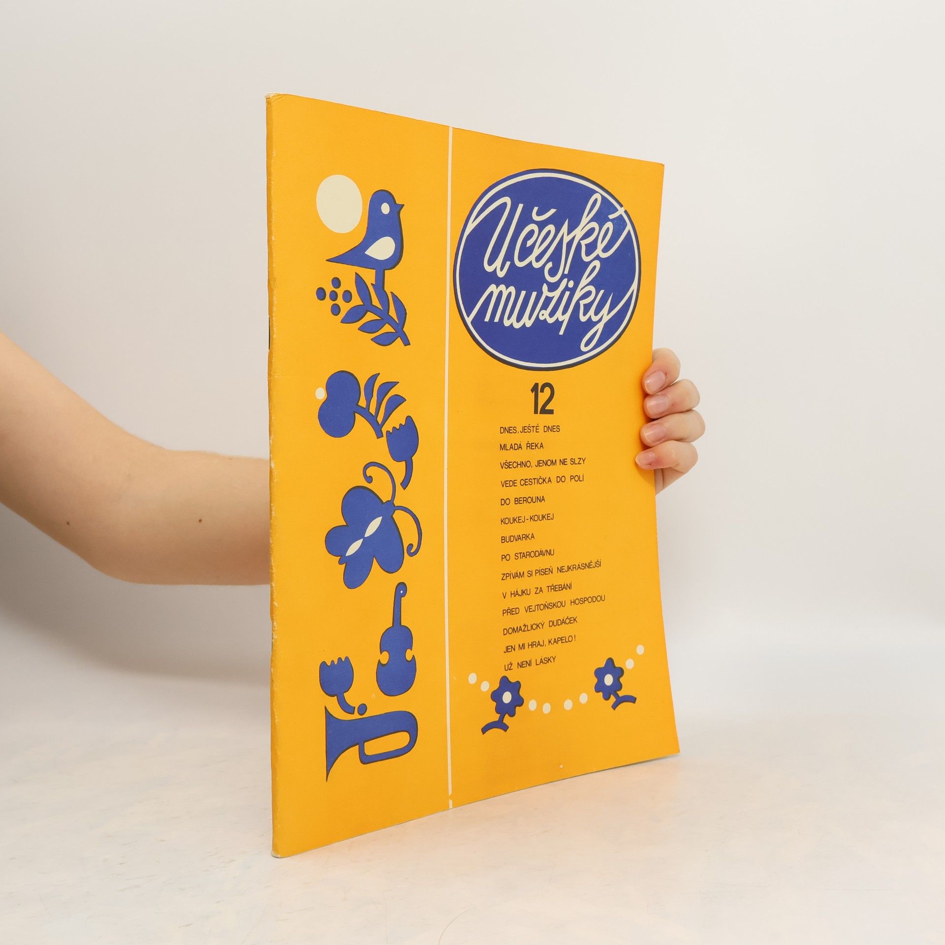 Kolektív autorov U české muziky 12