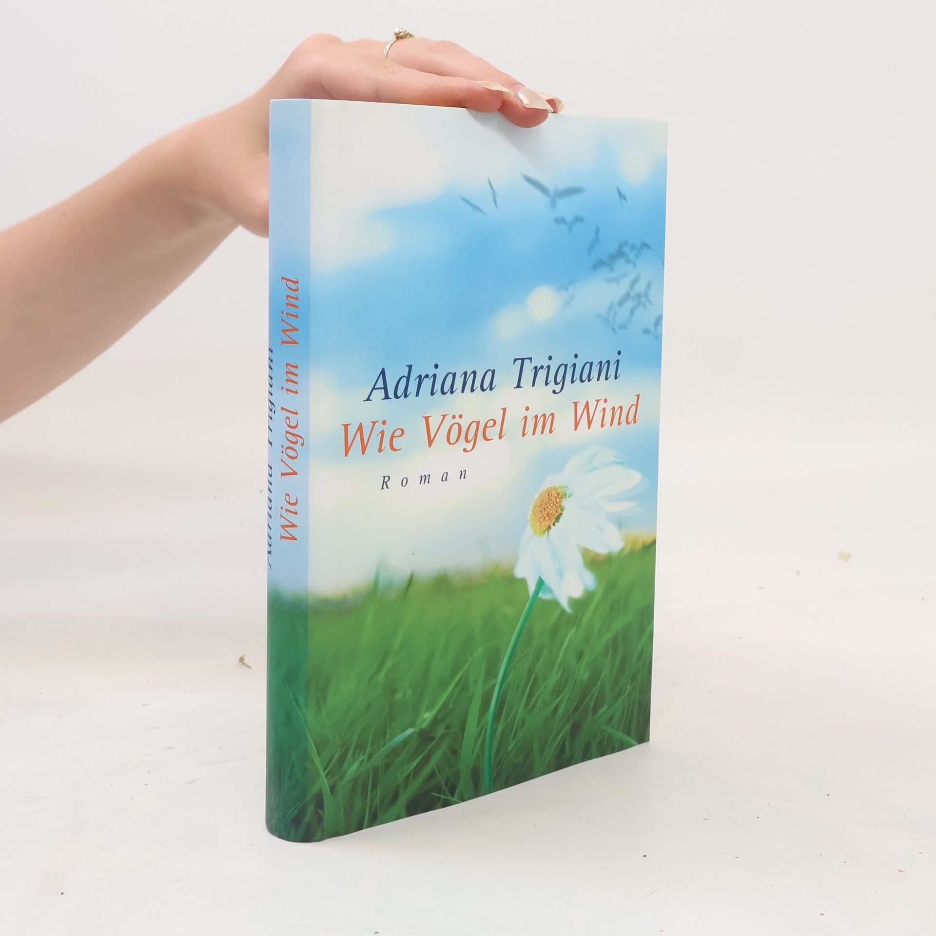 Adriana Trigiani Wie Vögel im Wind