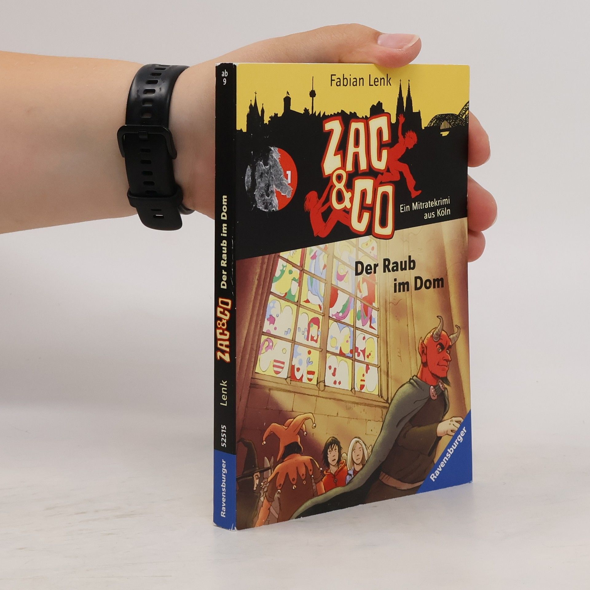 Fabian Lenk Zac & Co - Der Raub im Dom