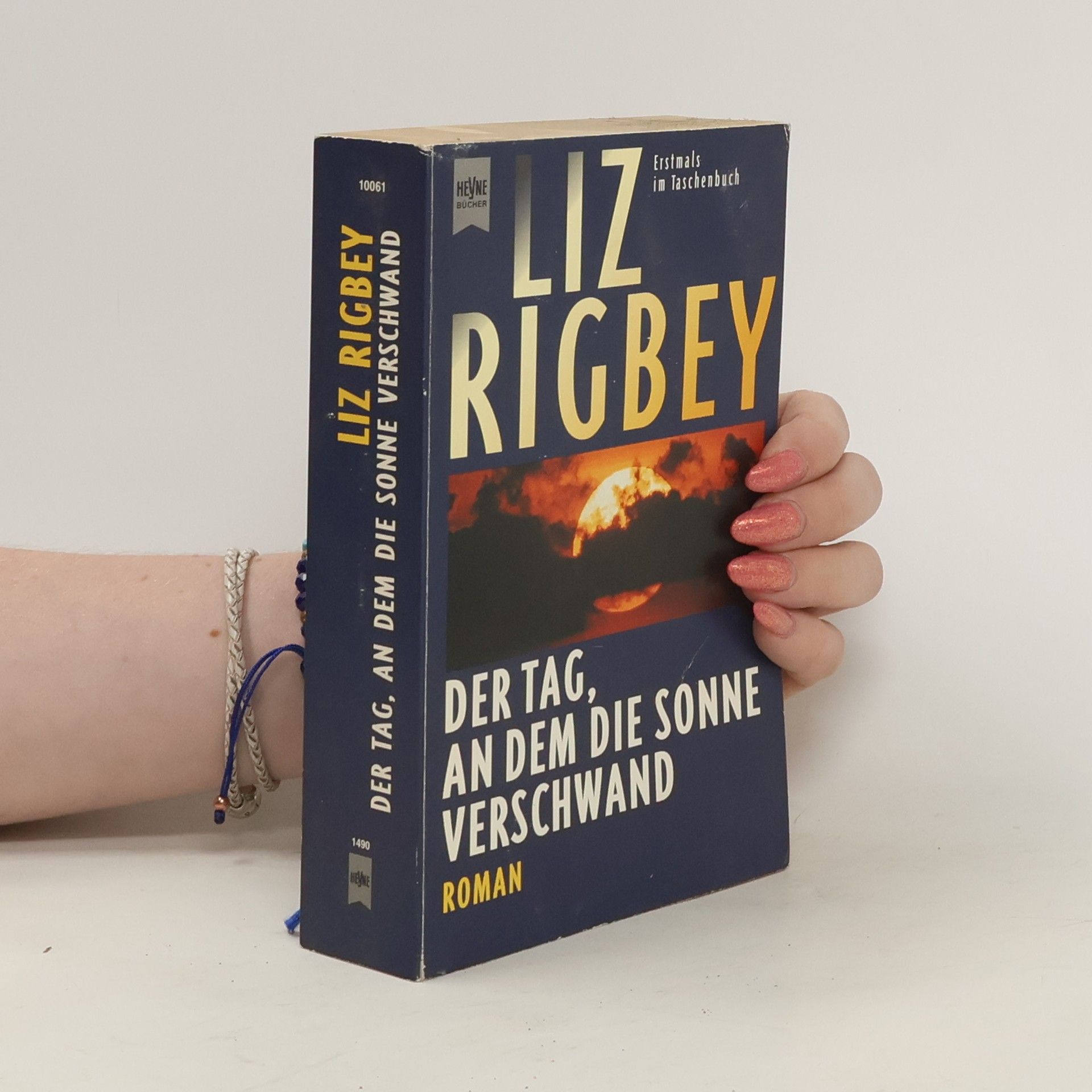 Liz Rigbey Der Tag, an dem die Sonne verschwand