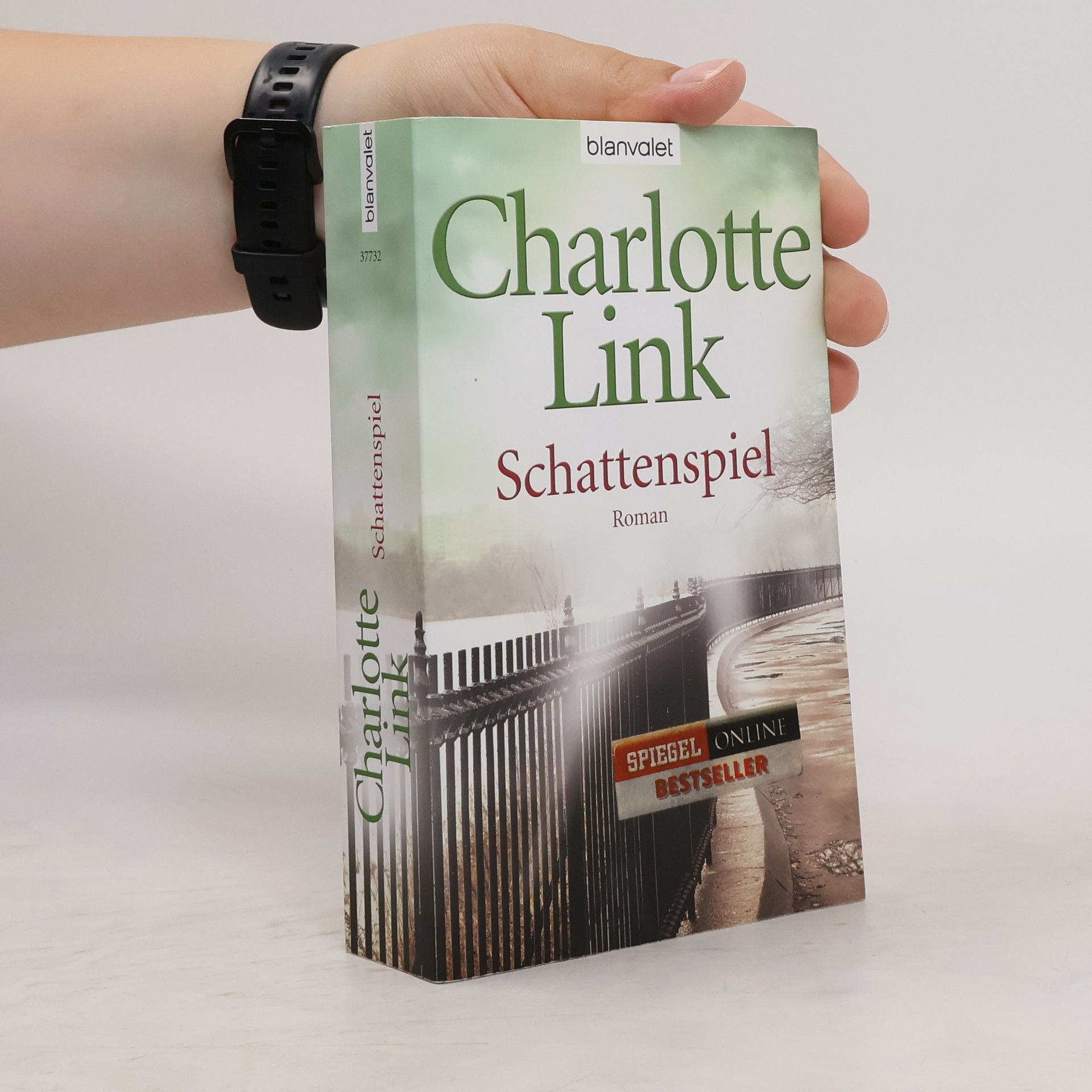 Charlotte Link Schattenspiel