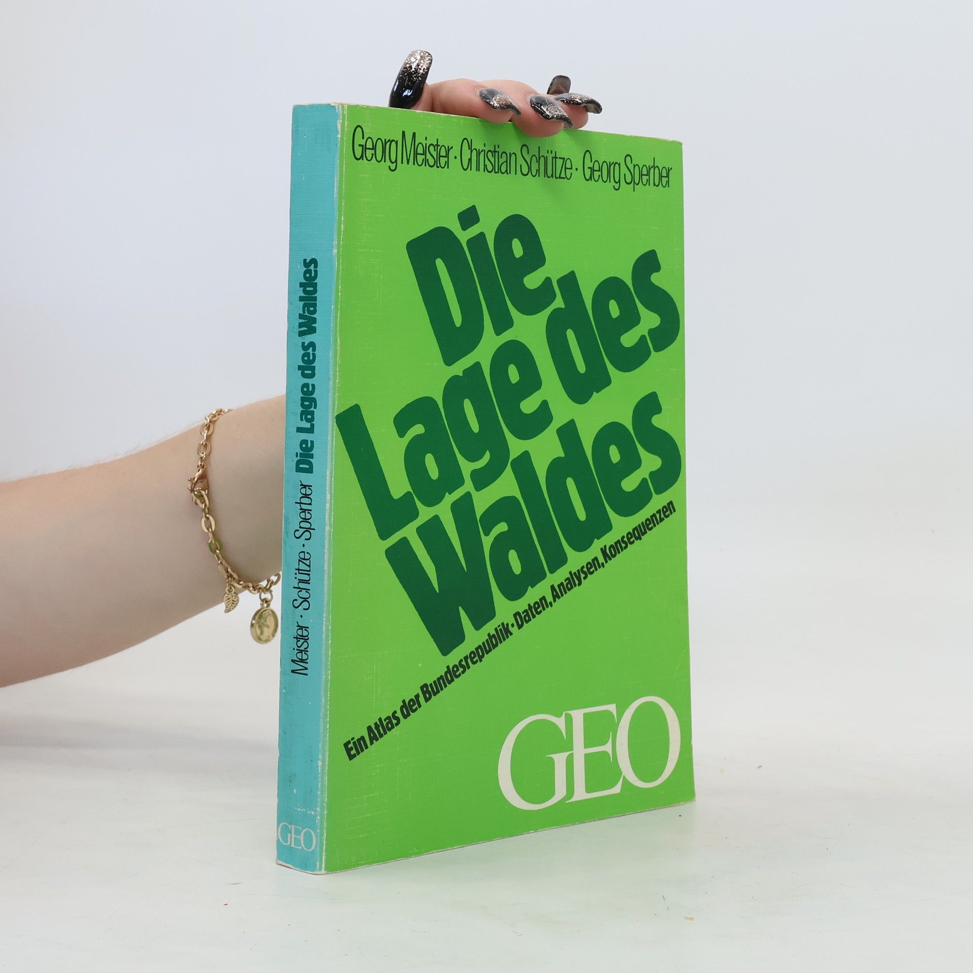 George Meister Die Lage des Waldes