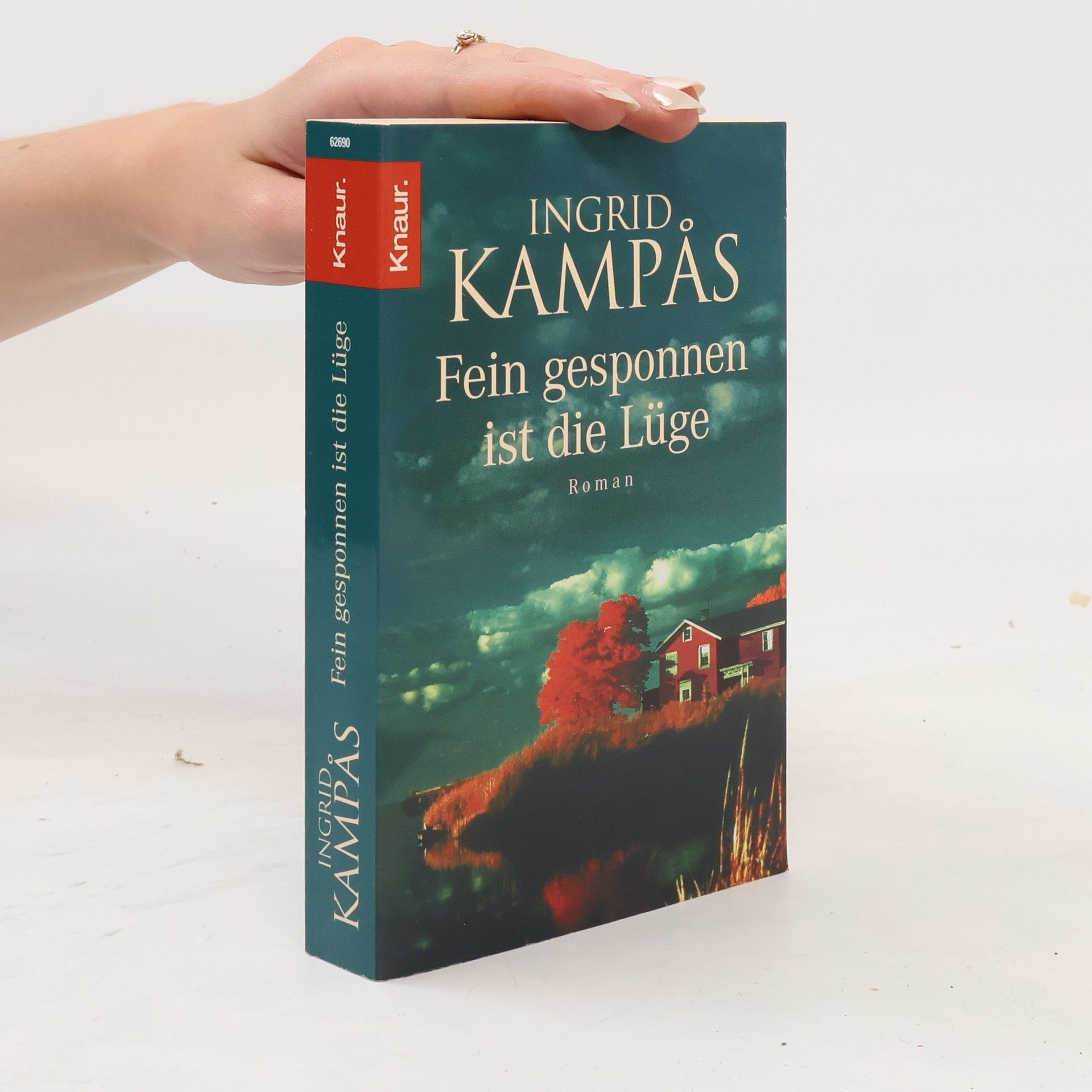 Ingrid Kampås Fein gesponnen ist die Lüge. Kriminalroman