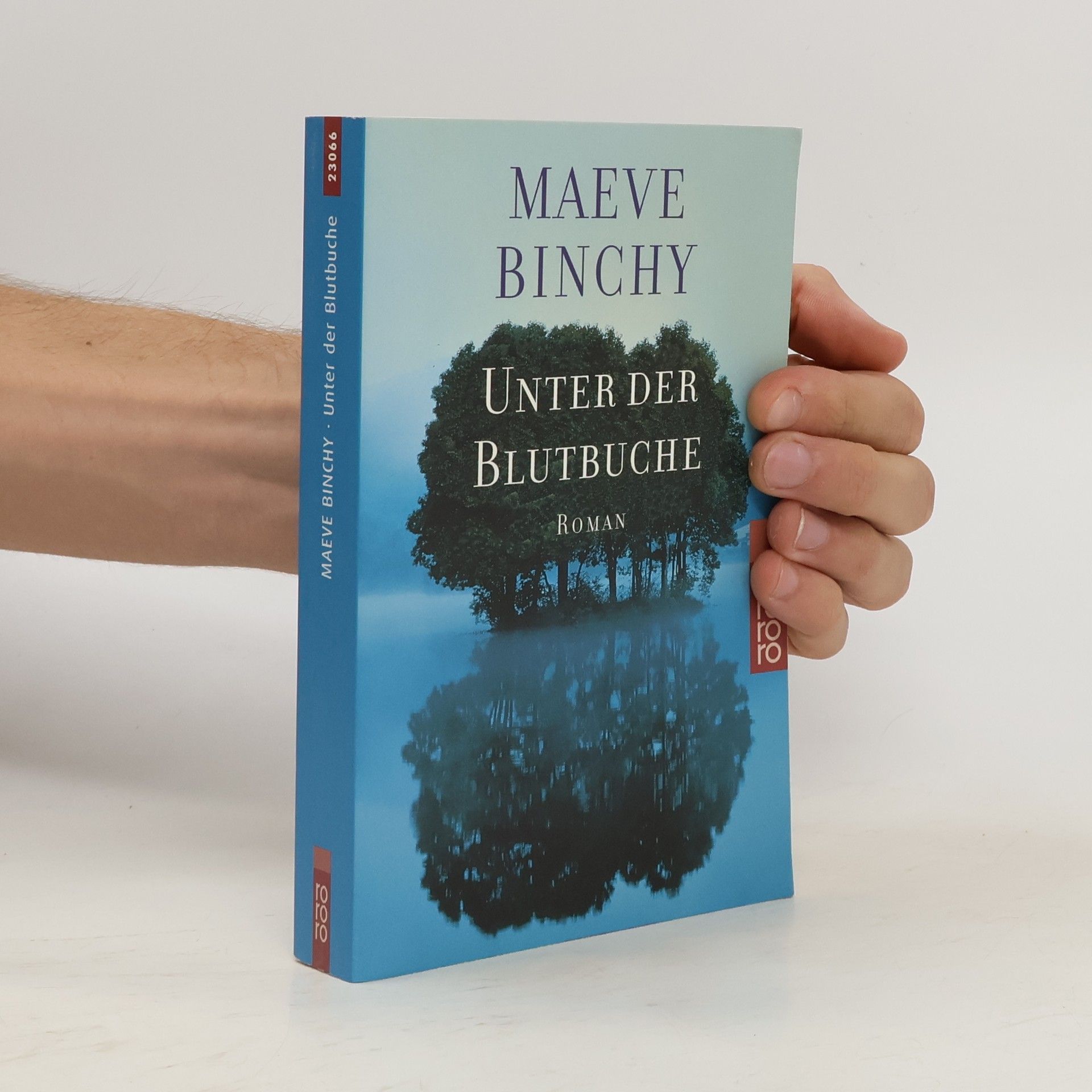 Maeve Binchy Unter der Blutbuche