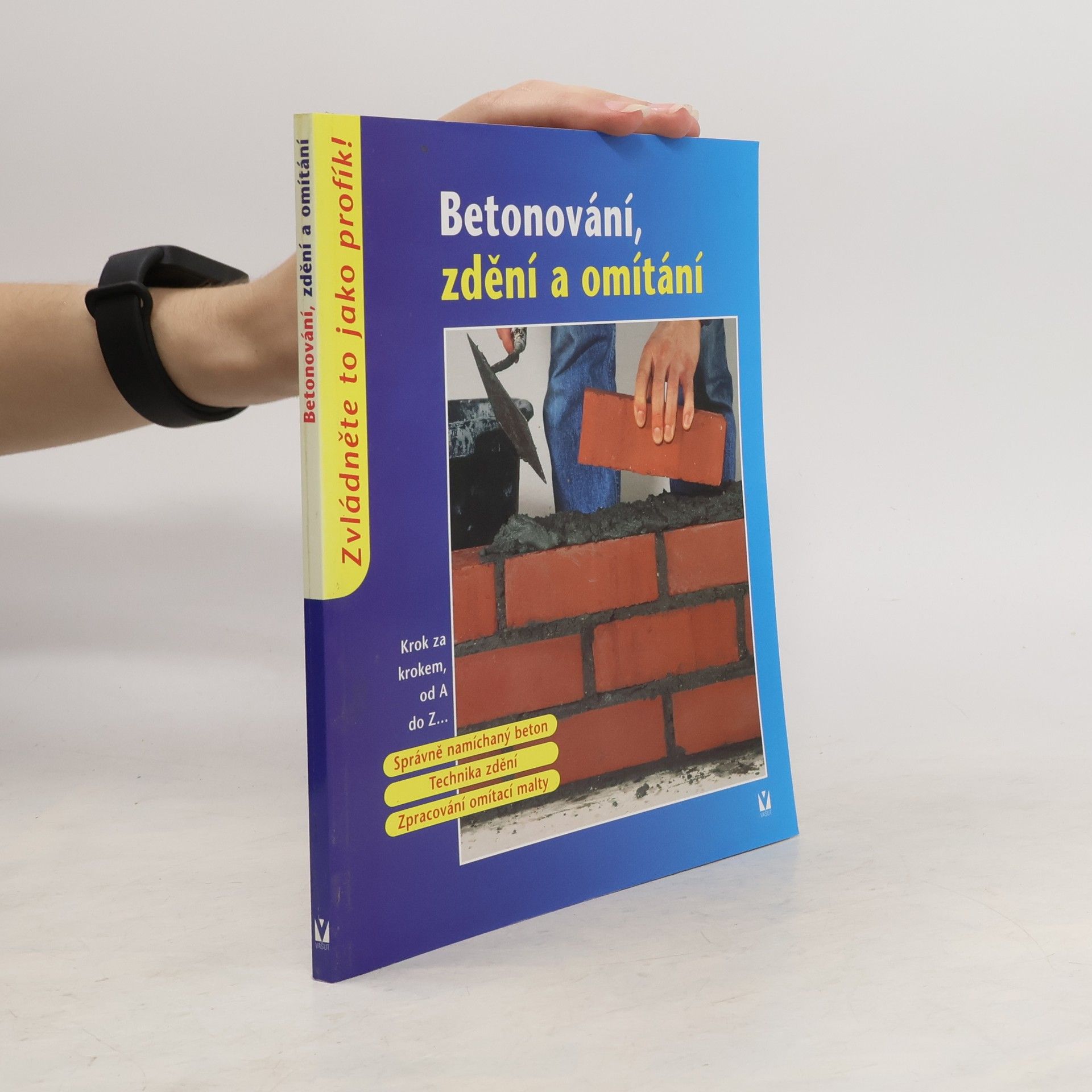 Autorenkollektiv Betonování, zdění a omítání