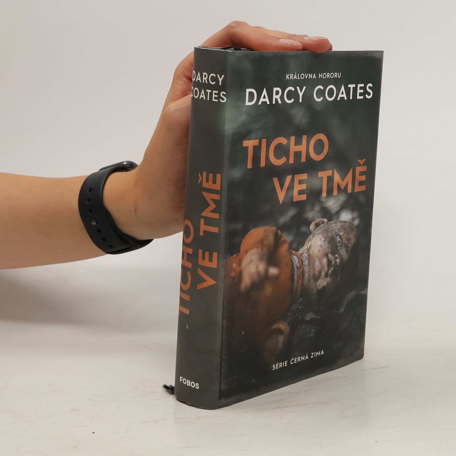 Darcy Coates Ticho ve tmě