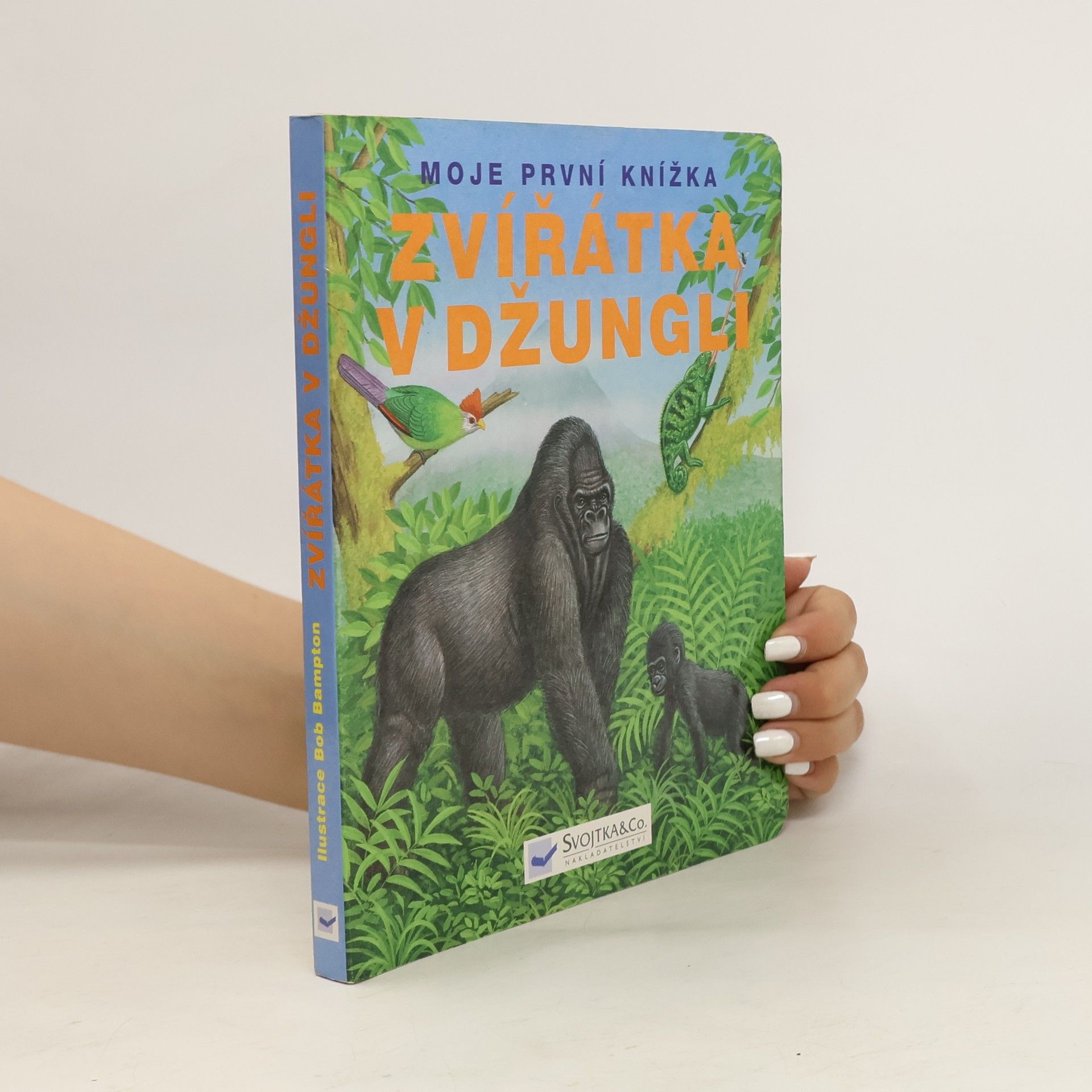 AA.VV. Zvířátka v džungli