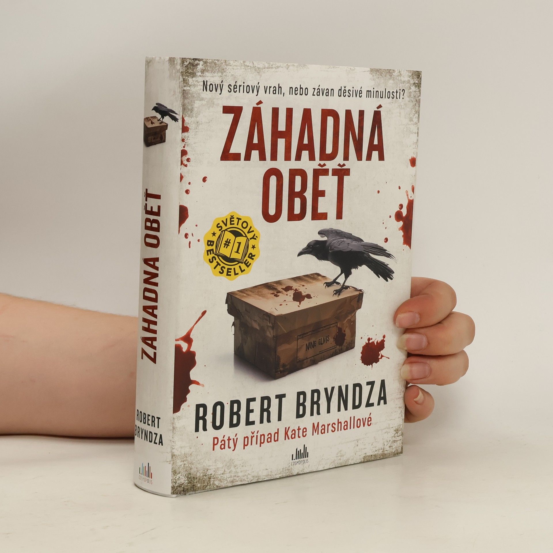 Robert Bryndza Záhadná oběť