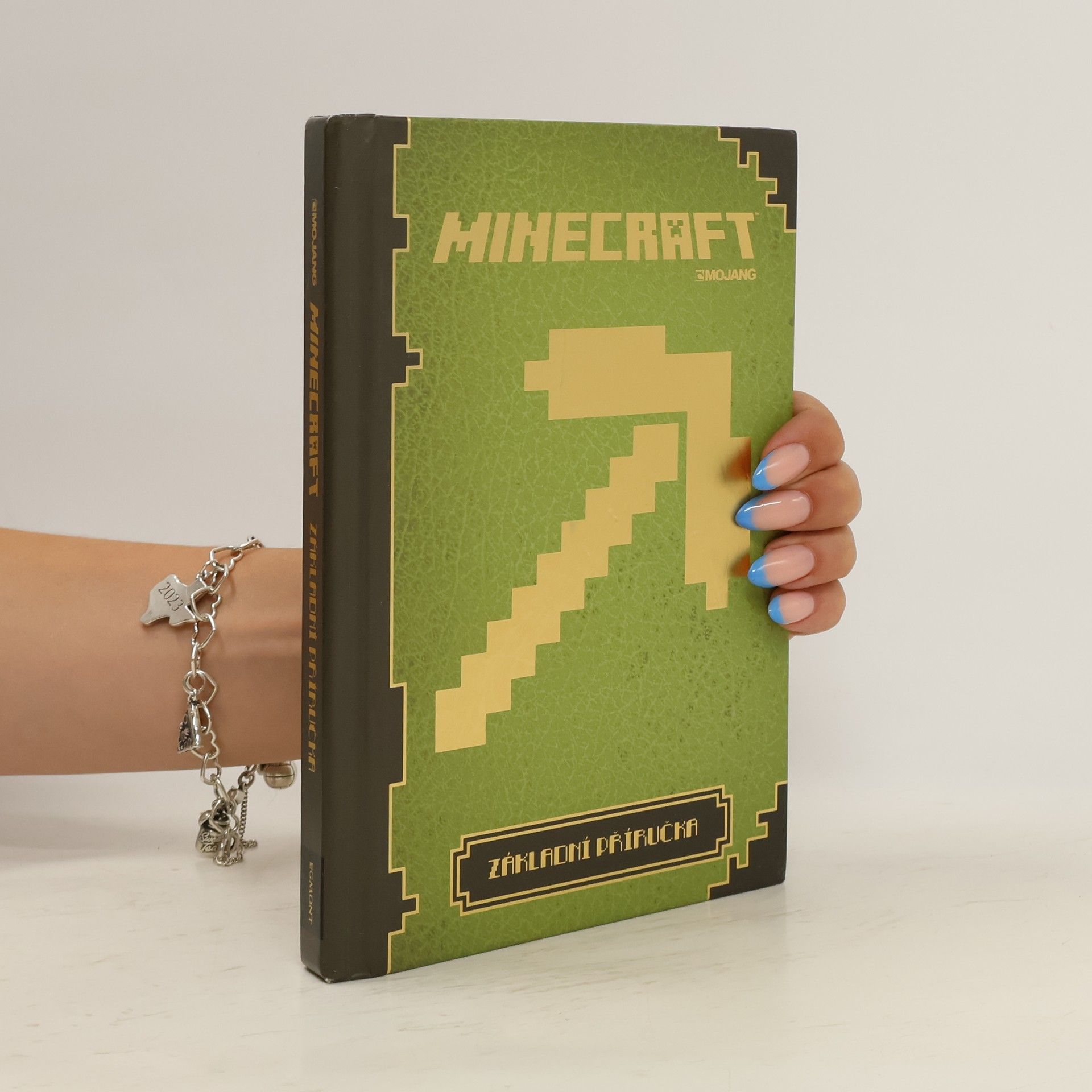 Matyáš Theodor Frydrych Minecraft