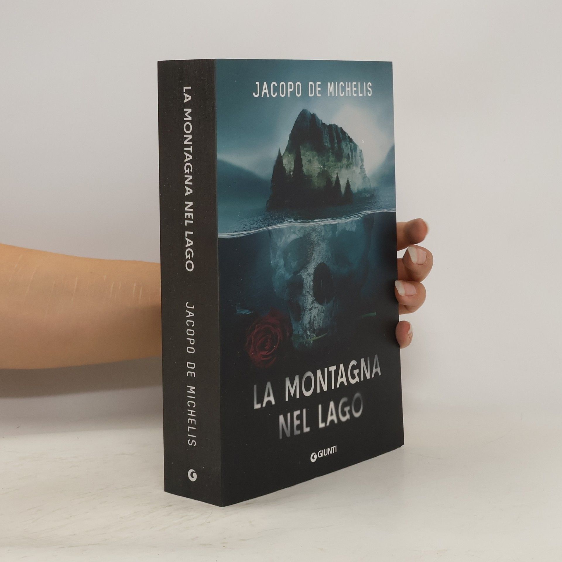 Jacopo De Michelis La montagna nel lago