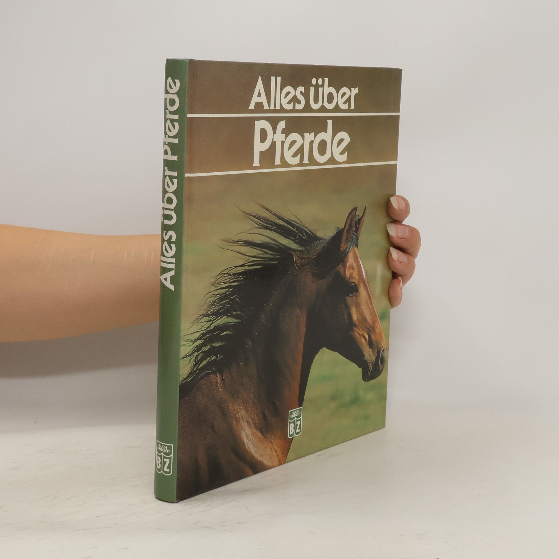 Heidrun Werner Alles über Pferde