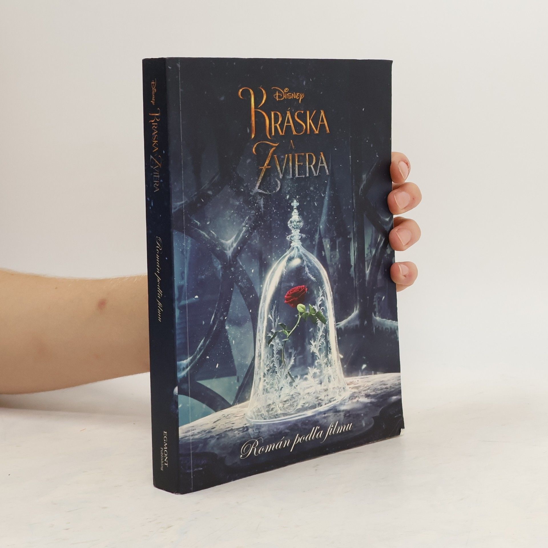 Elizabeth Rudnick Kráska a zviera - Román podľa filmu