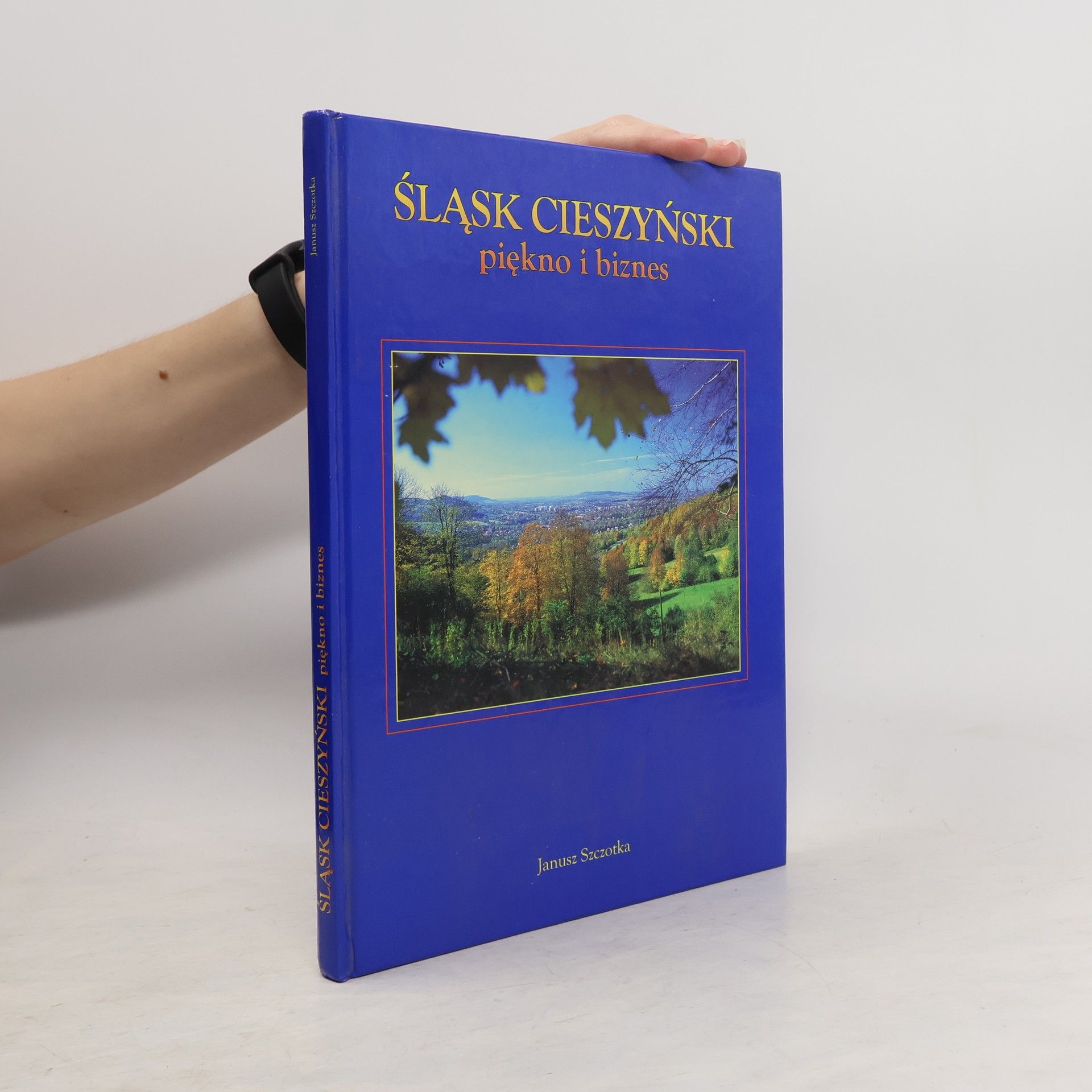 Śląsk Cieszyński : piękno i biznes