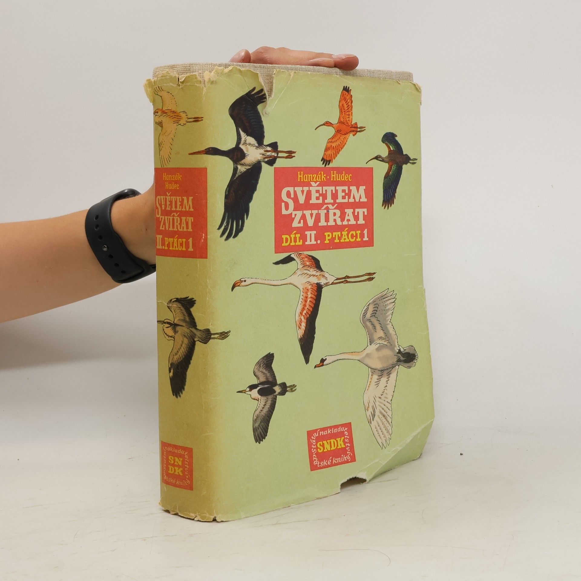 Jan Hanzák Světem zvířat. Díl II. Ptáci 1. část