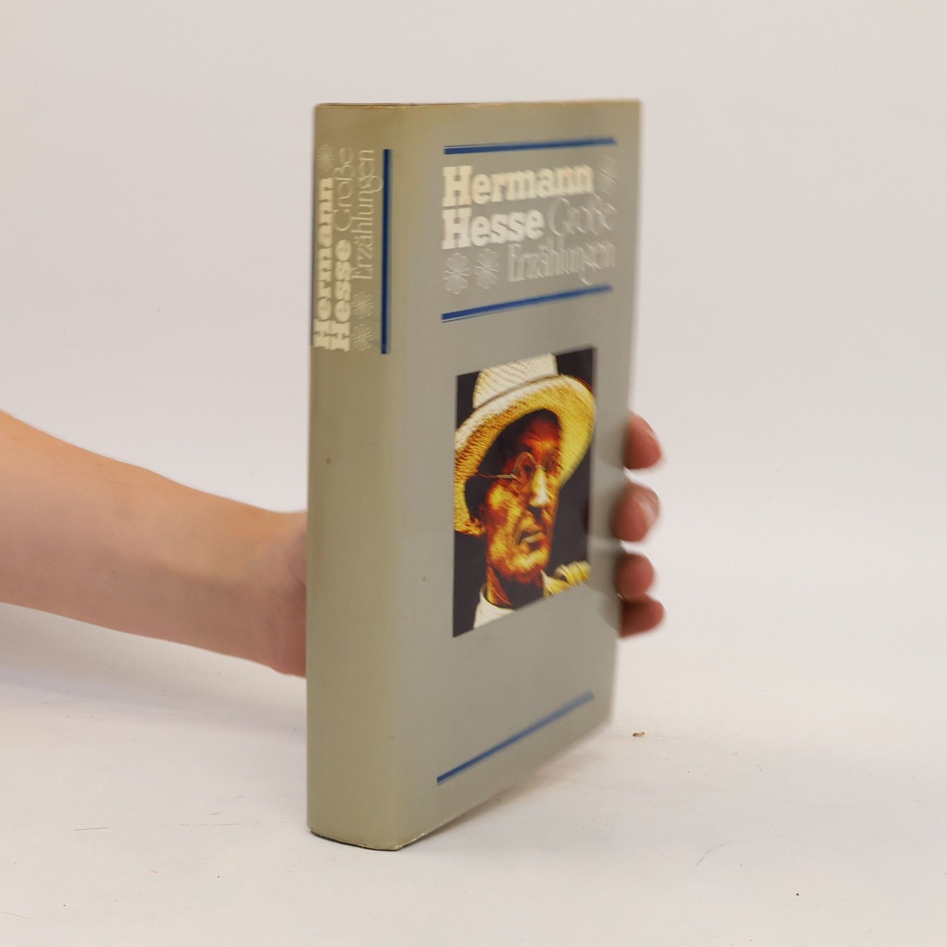 Hermann Hesse Große Erzählungen
