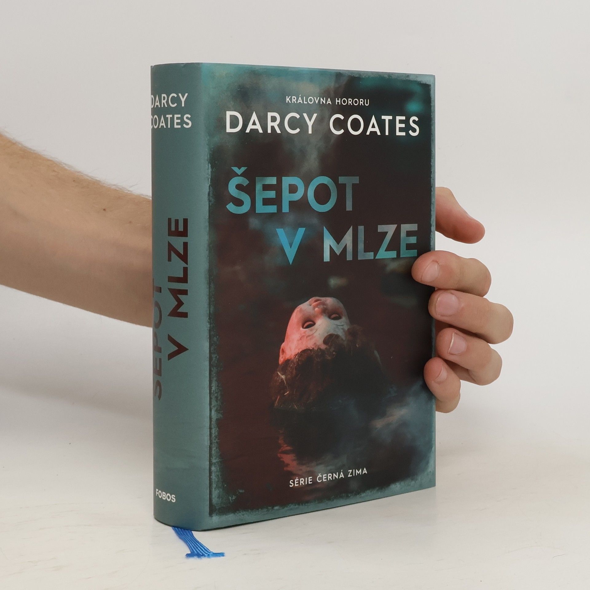 Darcy Coates Šepot v mlze