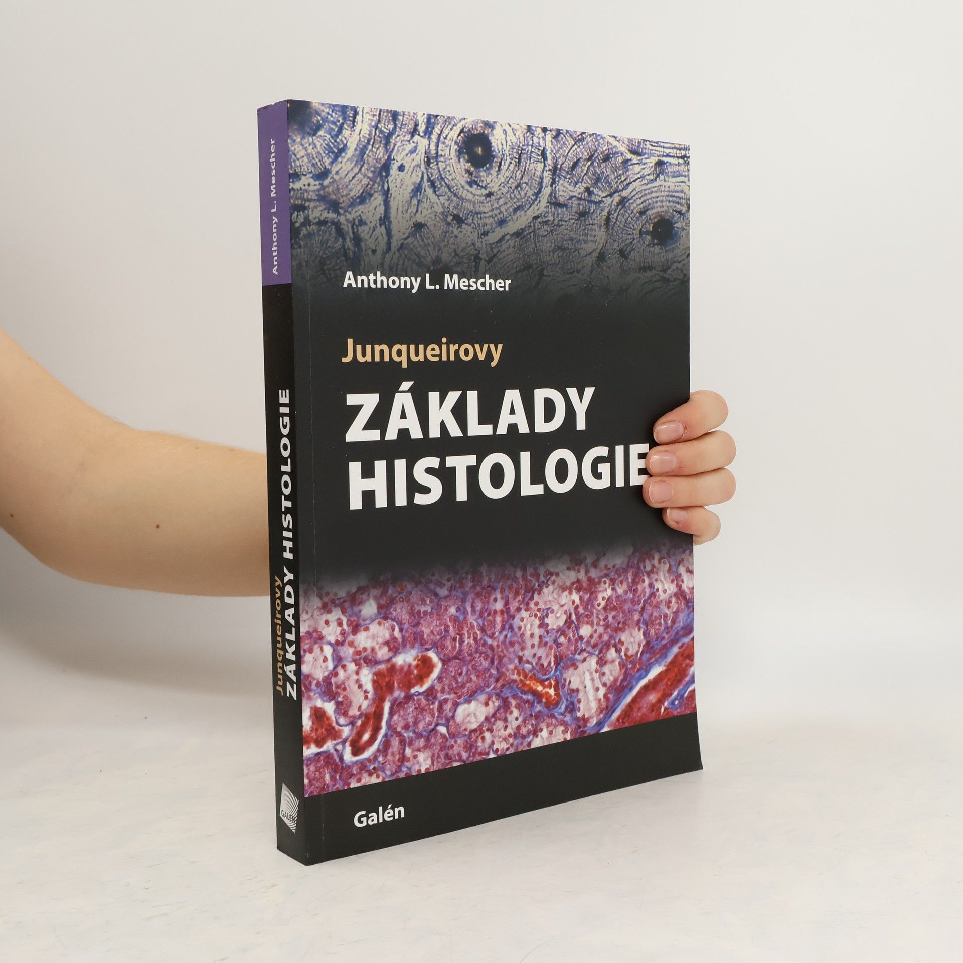 Anthony Mescher Junqueirovy základy histologie