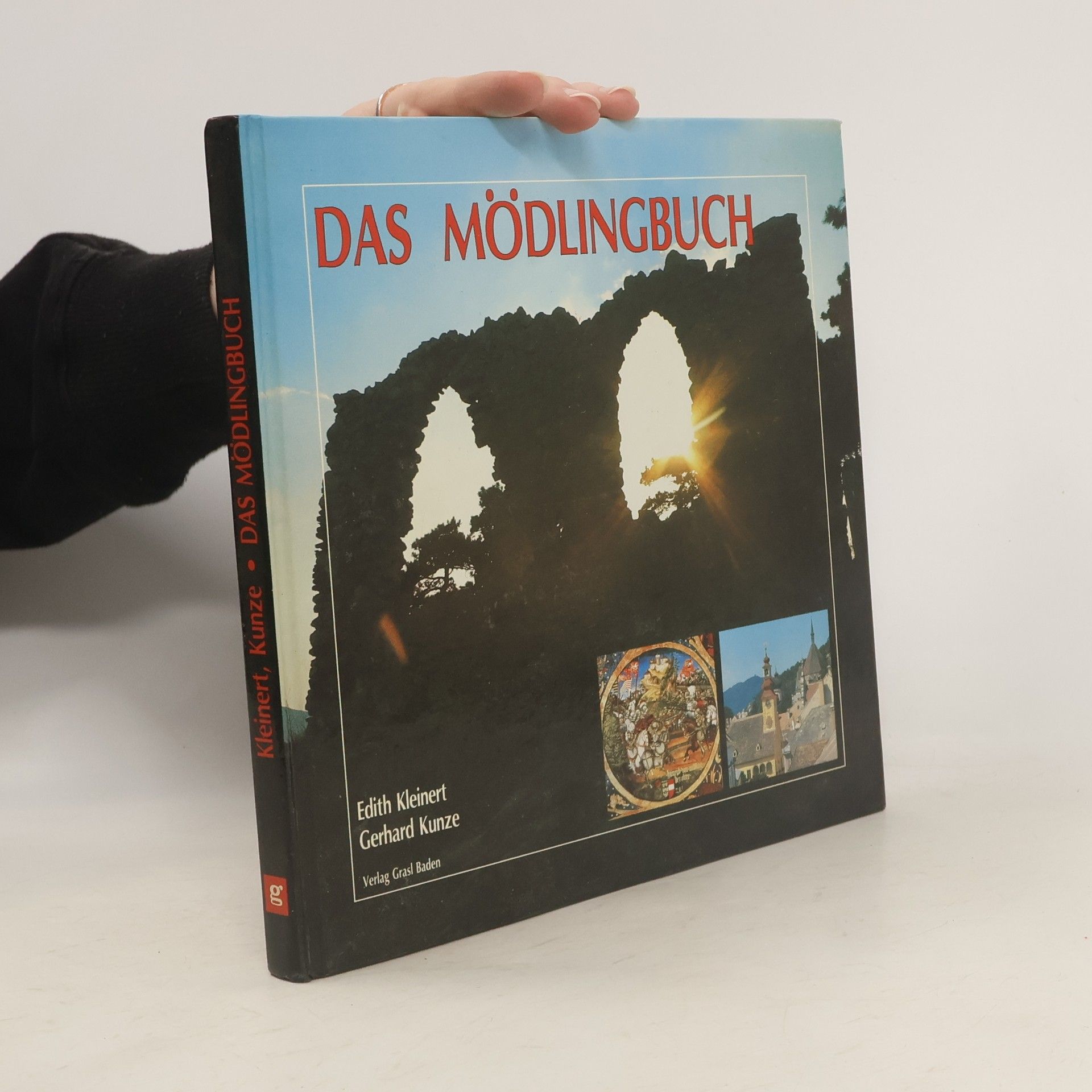 Autorenkollektiv Das Mödlingbuch