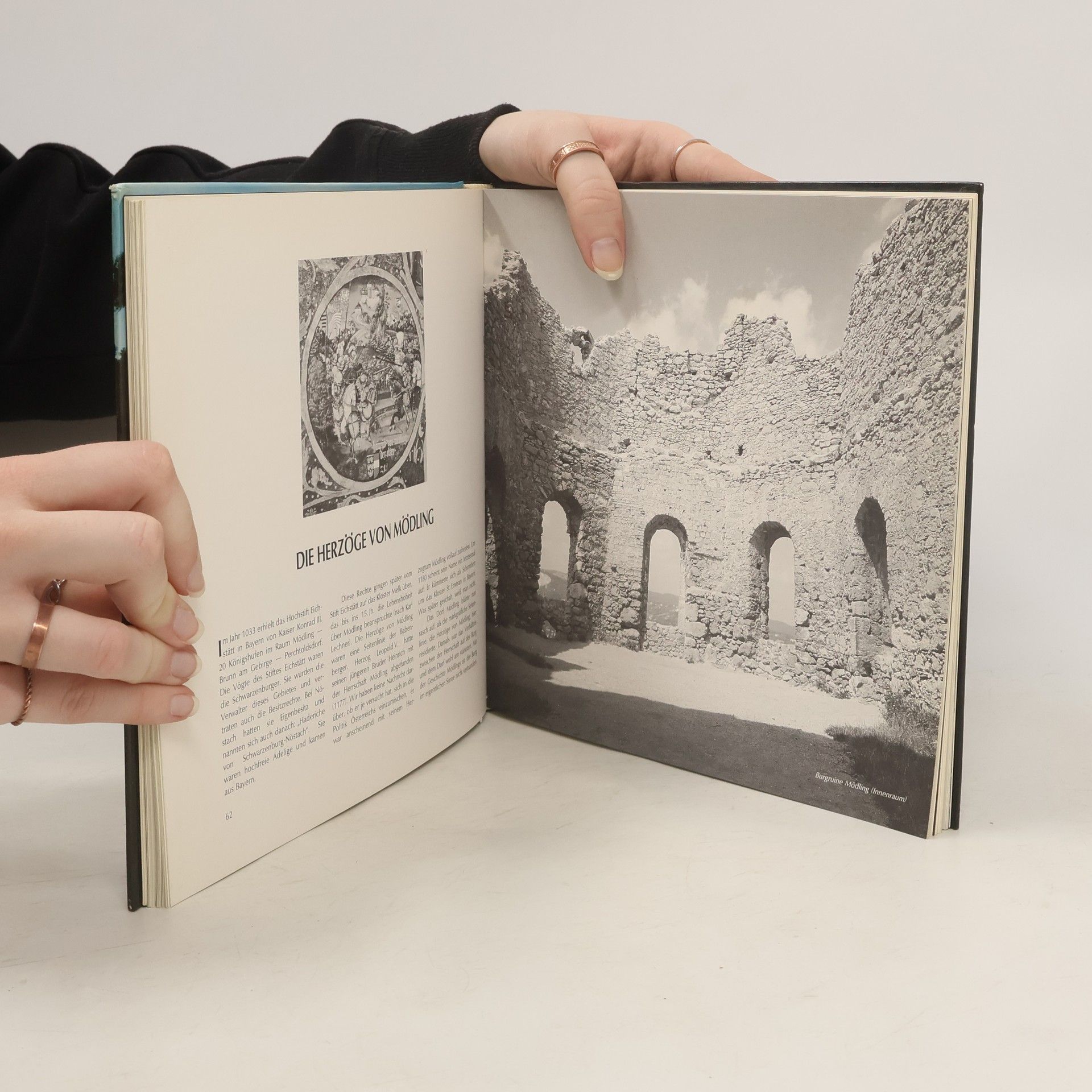 Autorenkollektiv Das Mödlingbuch